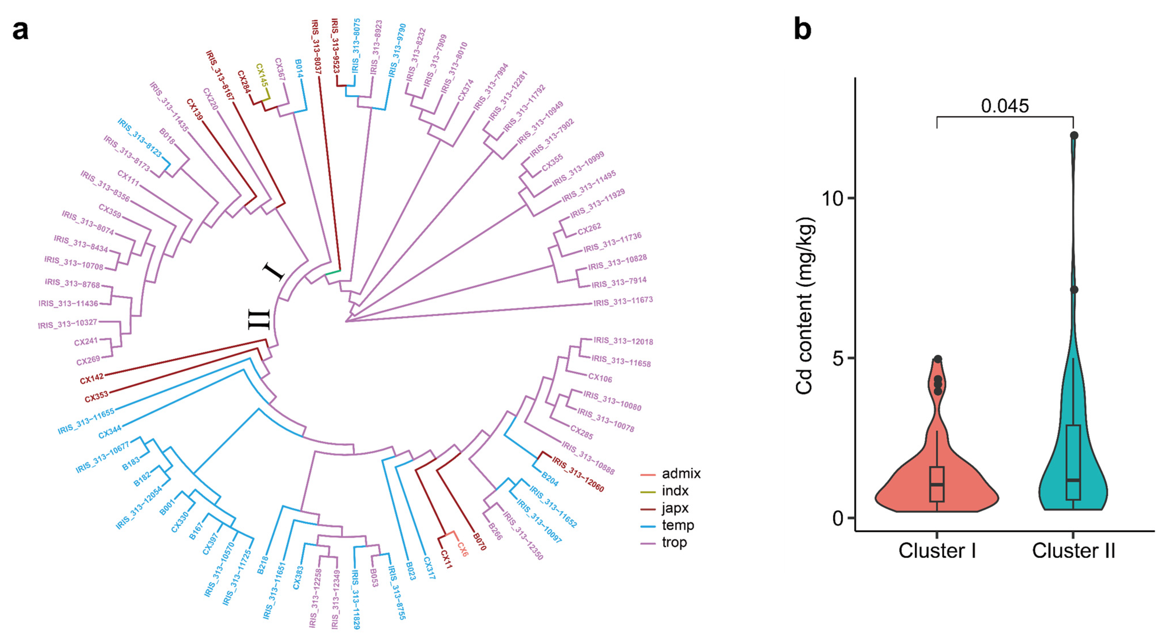 Agronomy 13 00800 g003 Agronomy 13 00800 g003