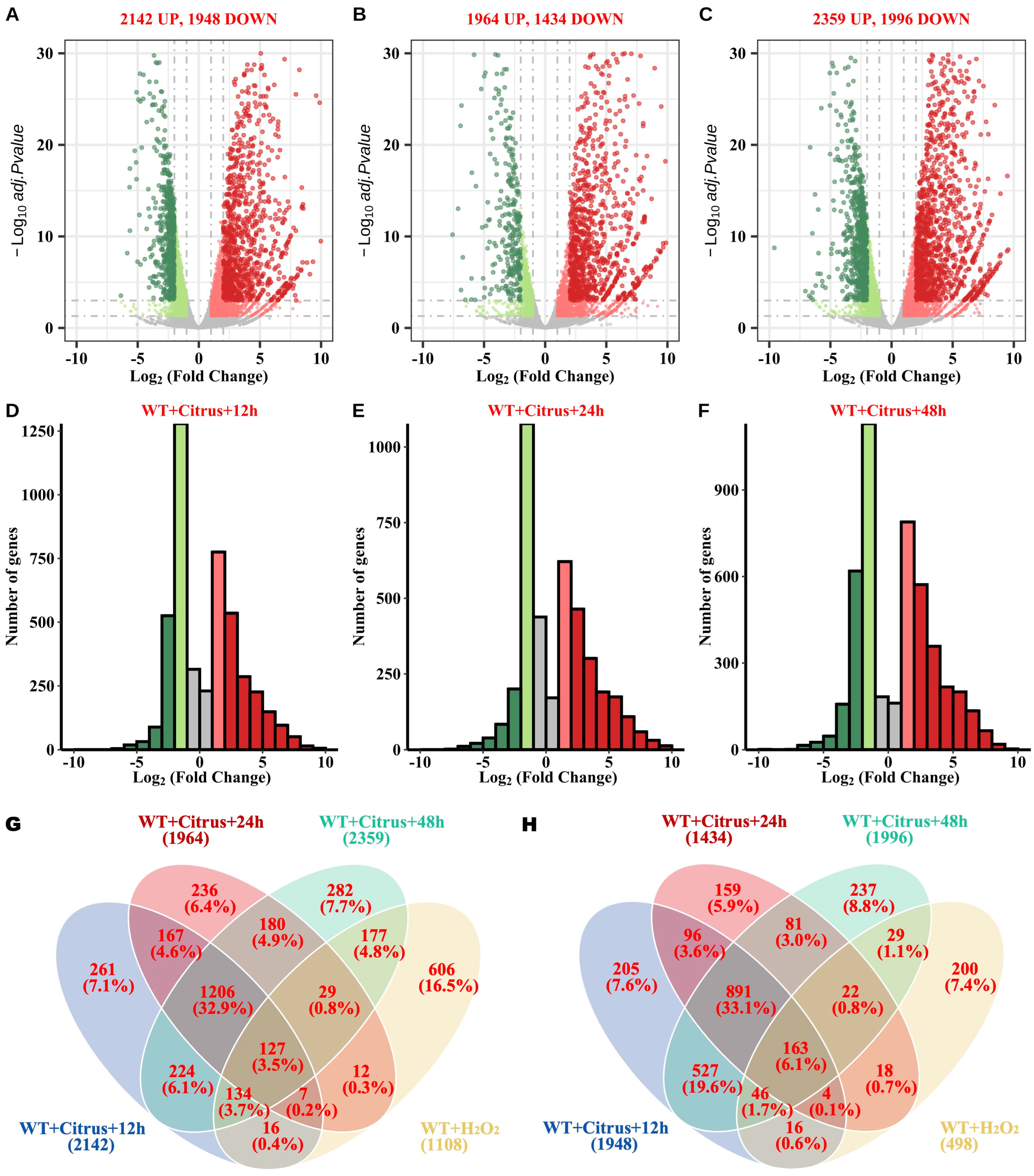 Agronomy 13 00809 g003