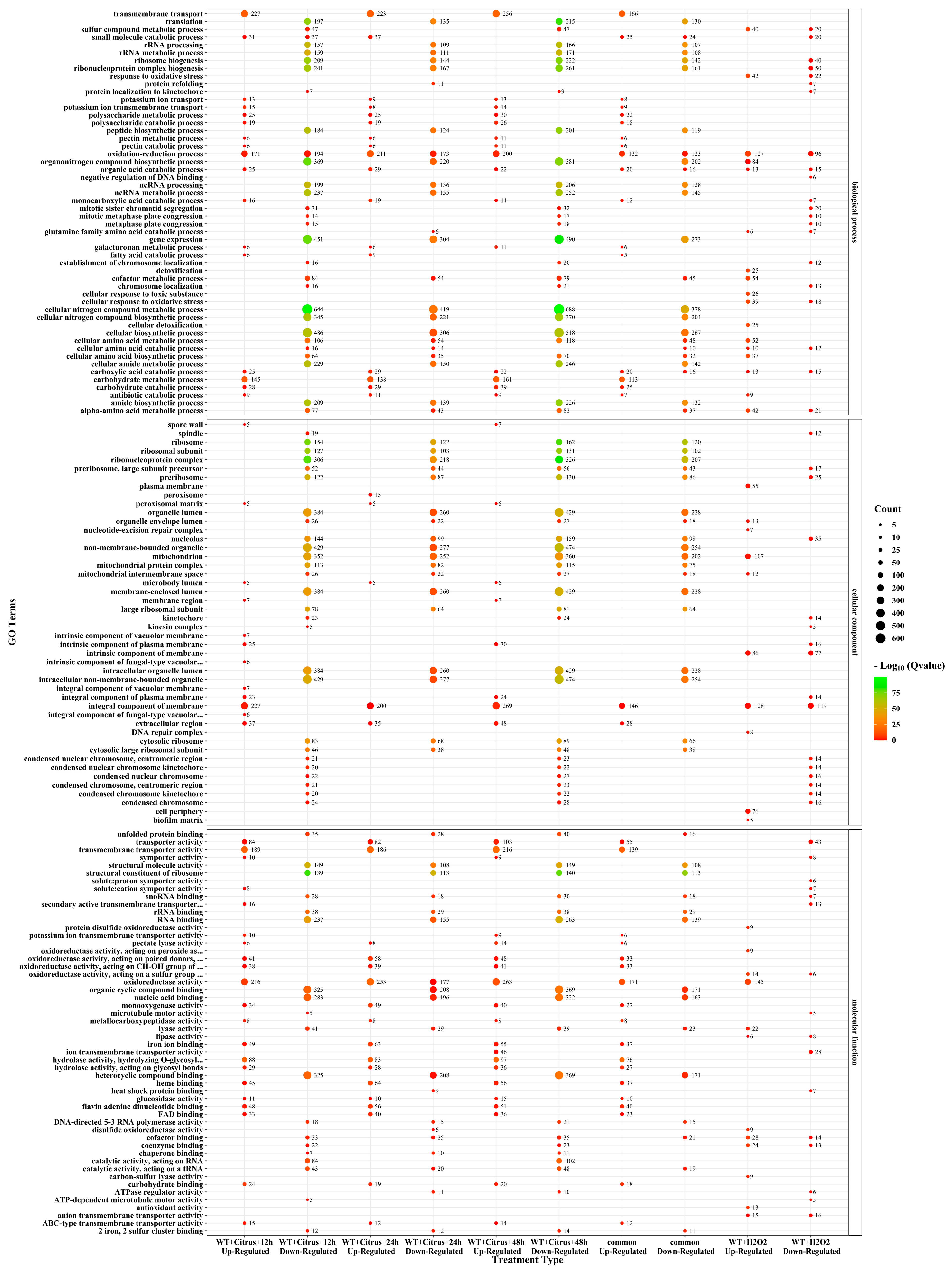 Agronomy 13 00809 g005
