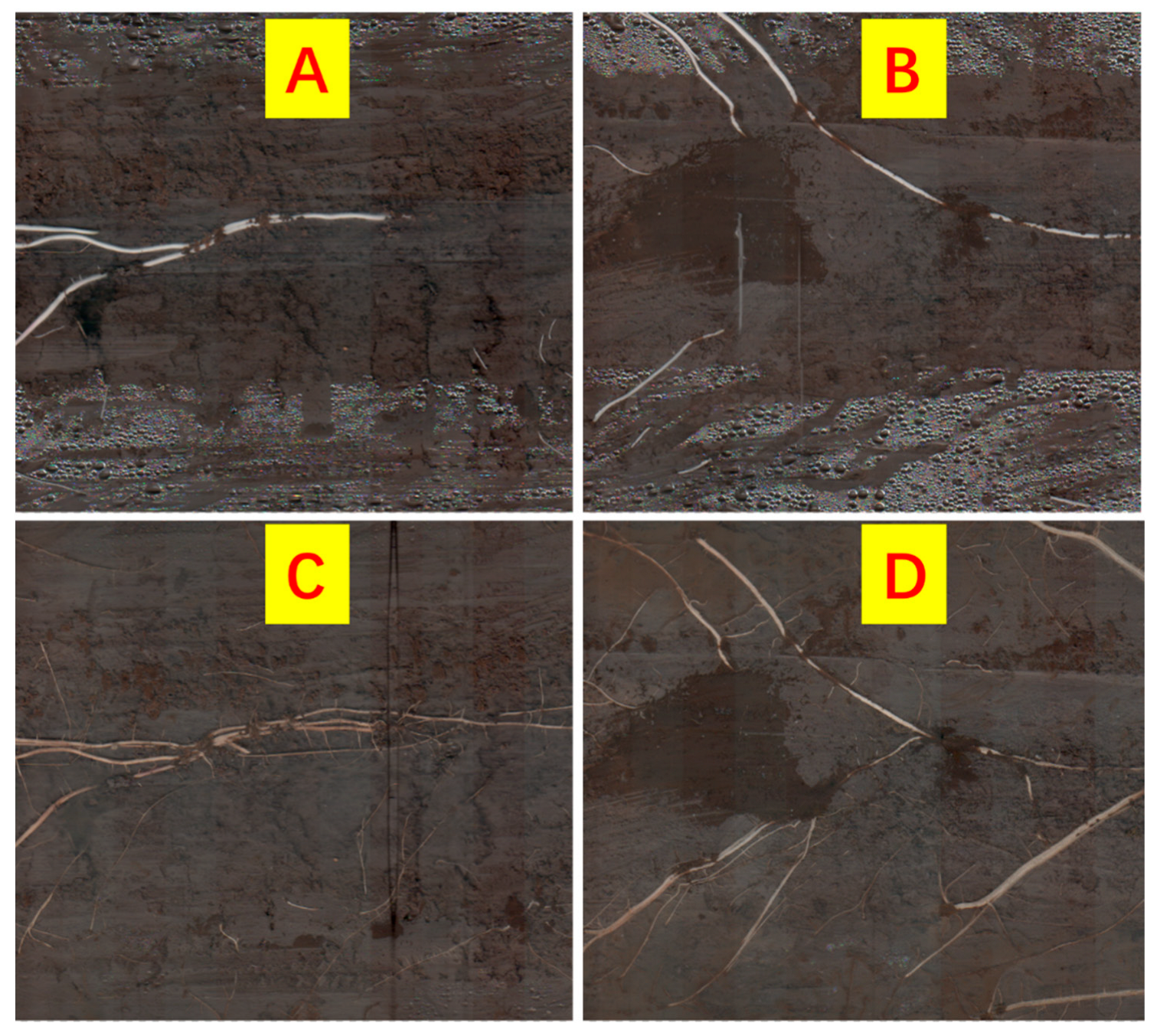 Agronomy 13 00814 g002 Agronomy 13 00814 g002