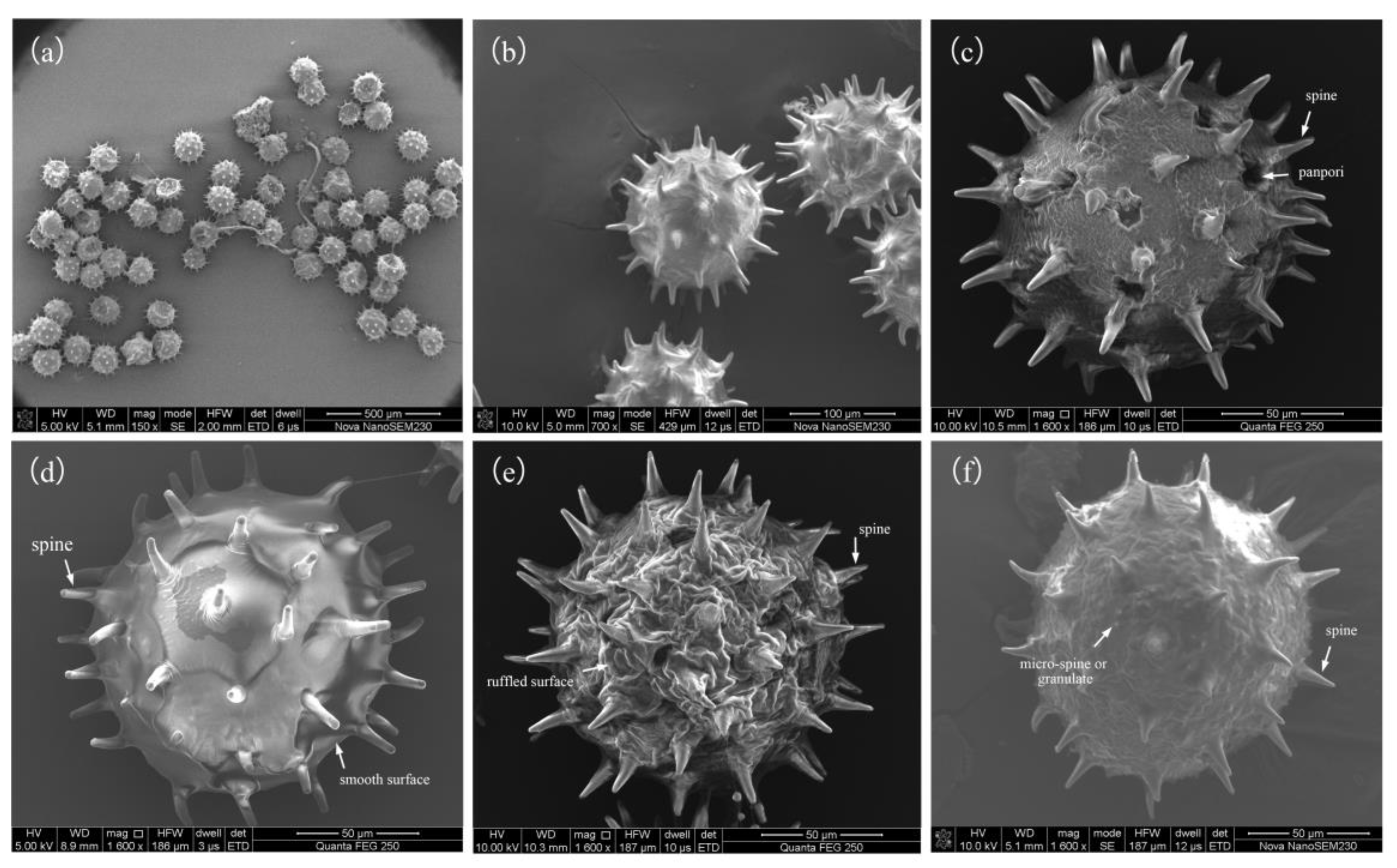 Agronomy 13 00828 g002 Agronomy 13 00828 g002