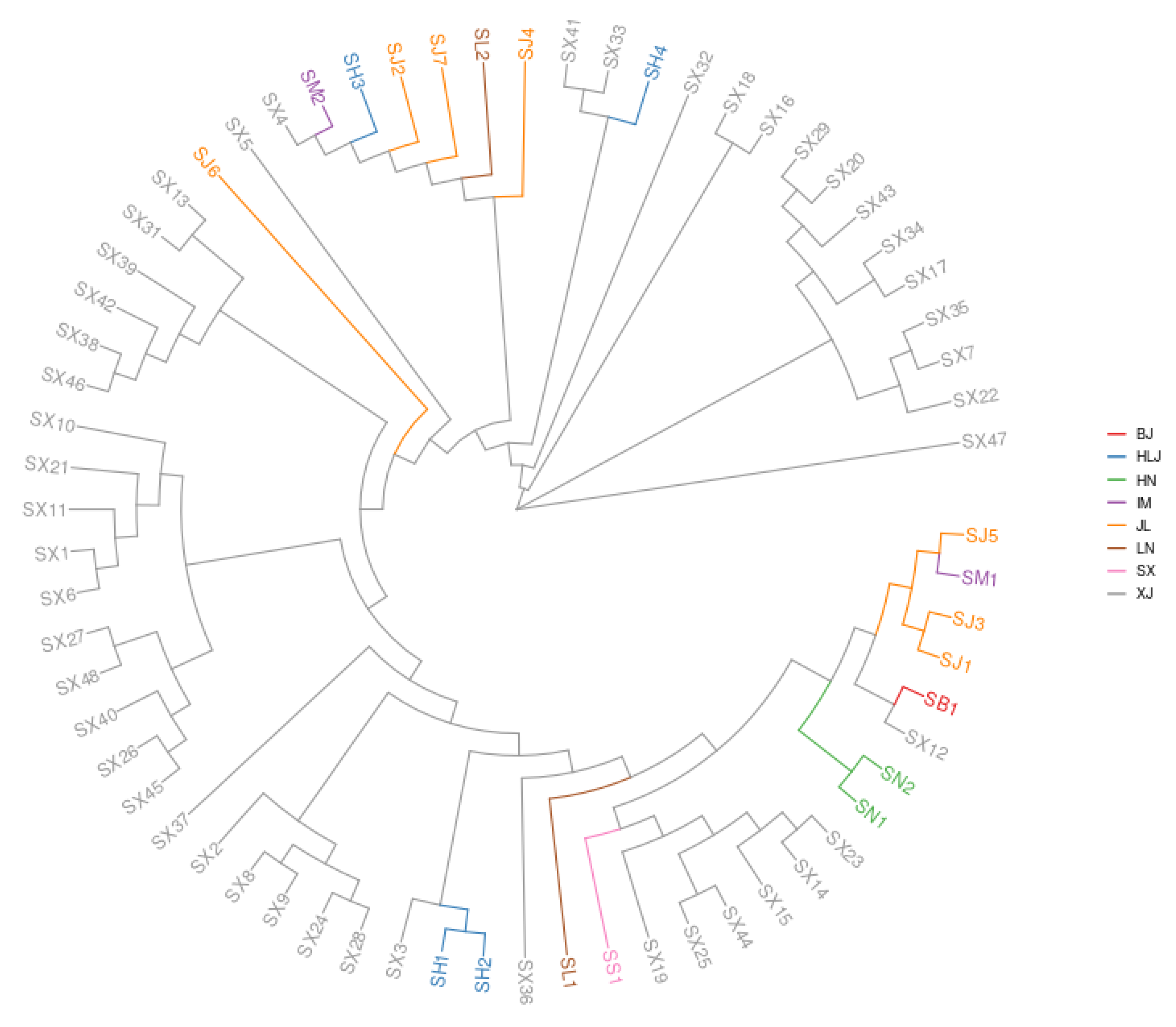 Agronomy 13 00832 g001
