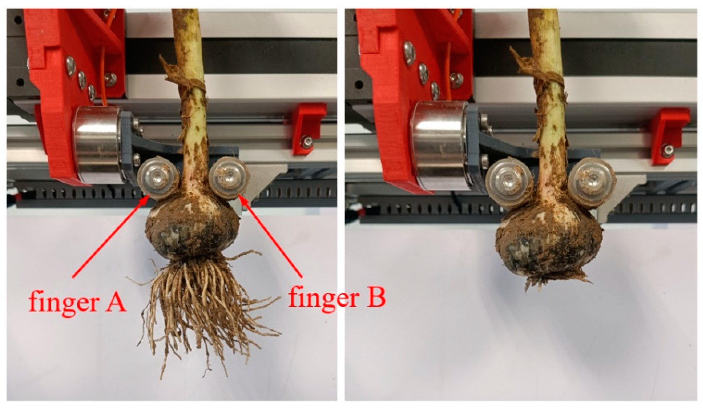 Agronomy 13 00835 g008 Agronomy 13 00835 g008