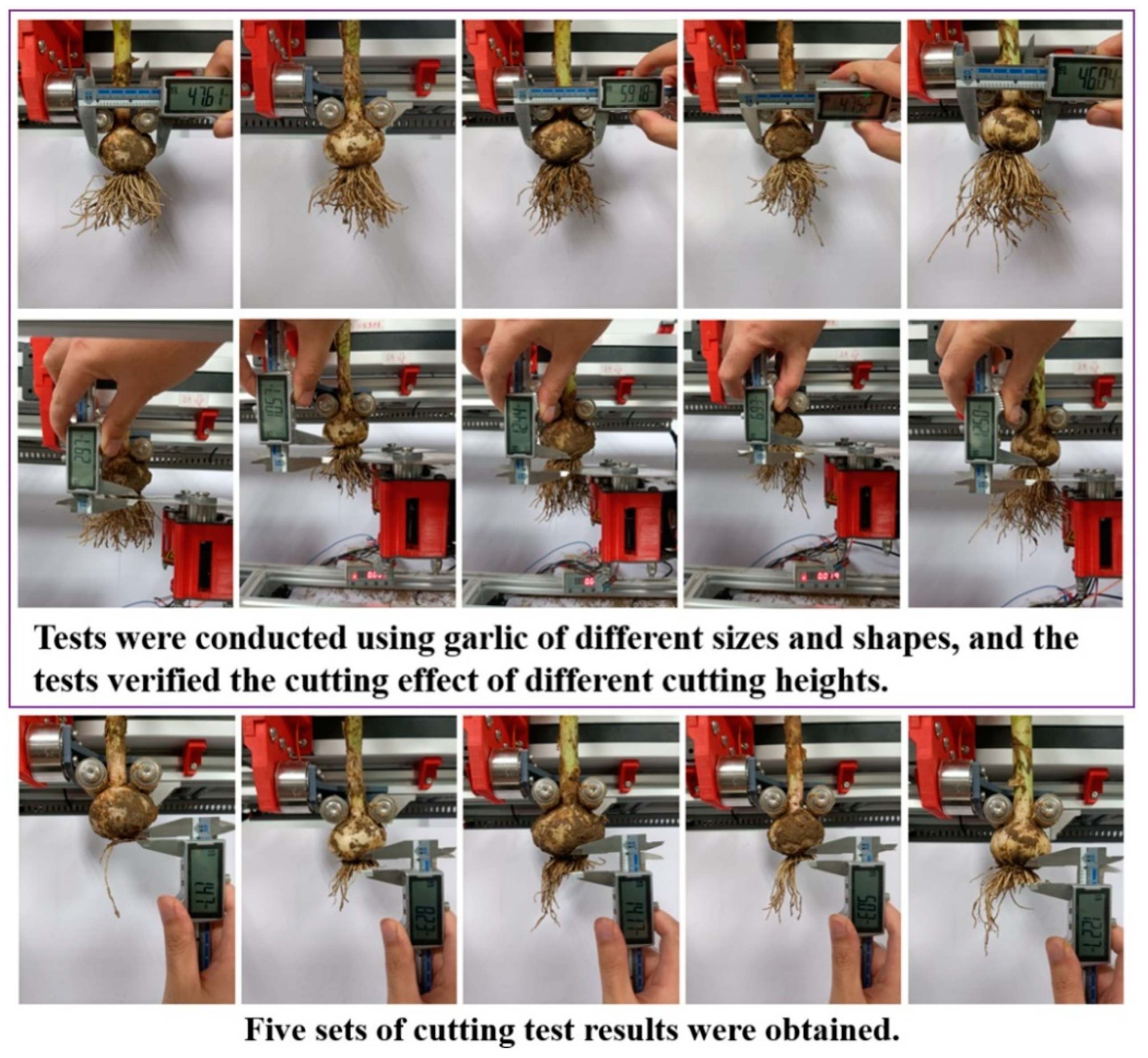 Agronomy 13 00835 g012 Agronomy 13 00835 g012