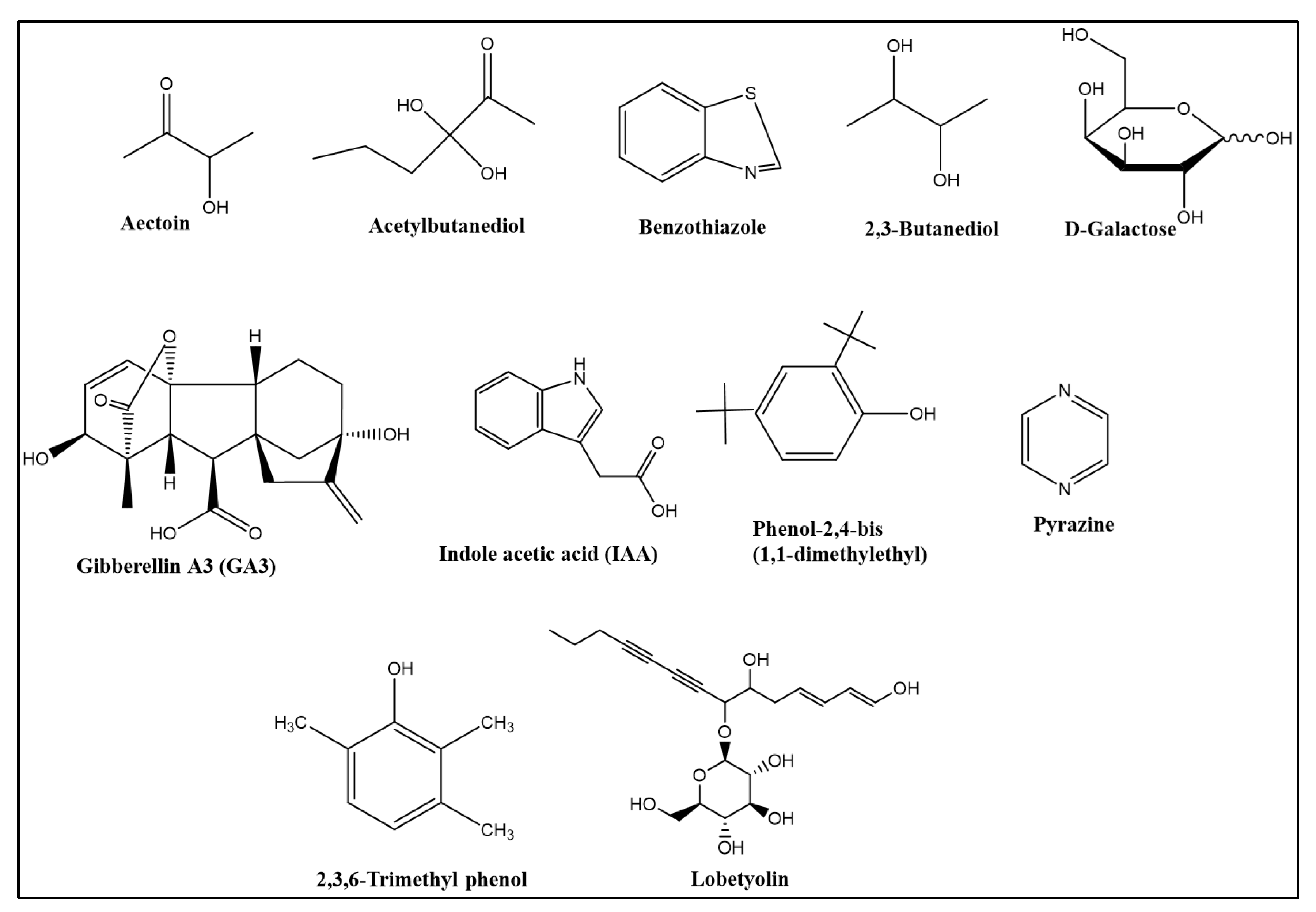 Agronomy 13 00840 g002 Agronomy 13 00840 g002