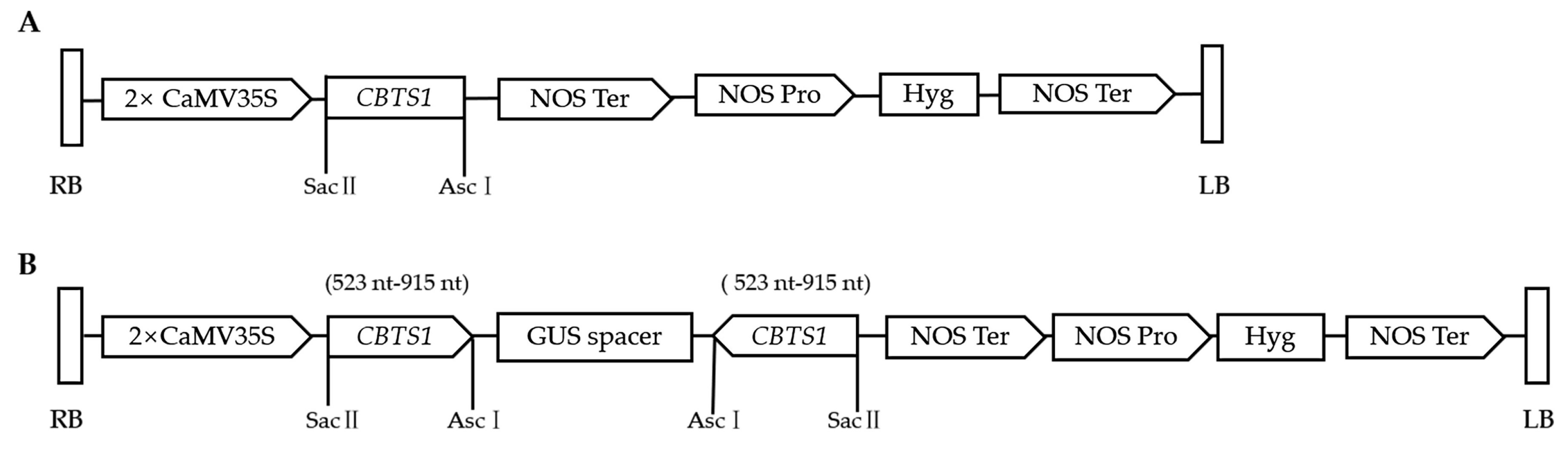 Agronomy 13 00845 g006 Agronomy 13 00845 g006