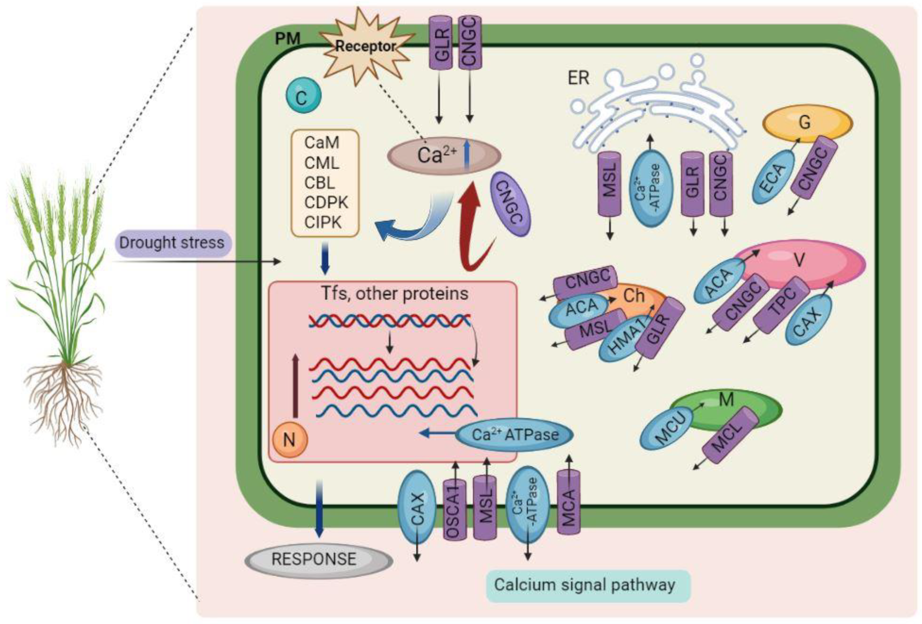 Agronomy 13 00849 g002 Agronomy 13 00849 g002