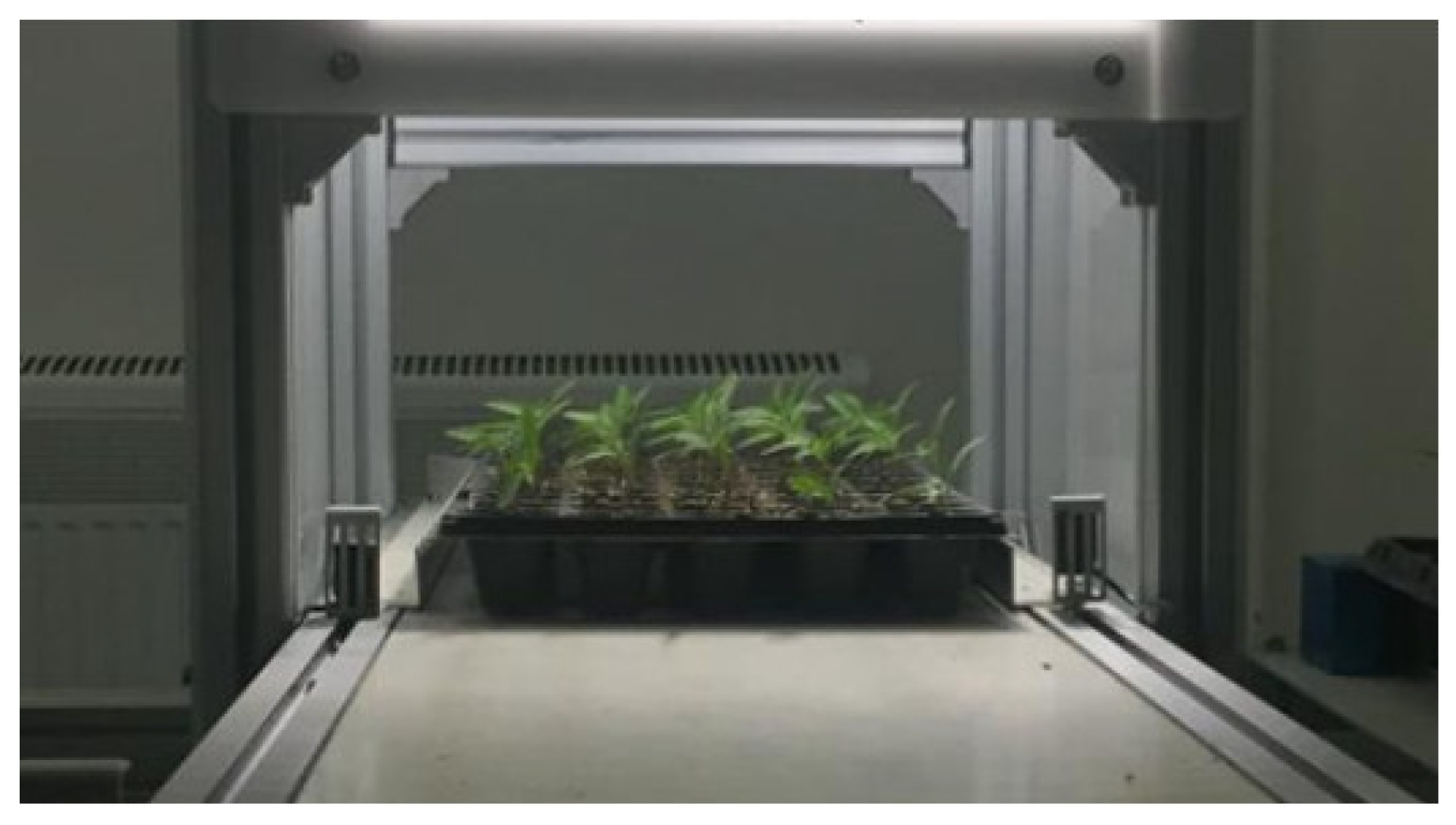 Agronomy 13 00853 g002 550