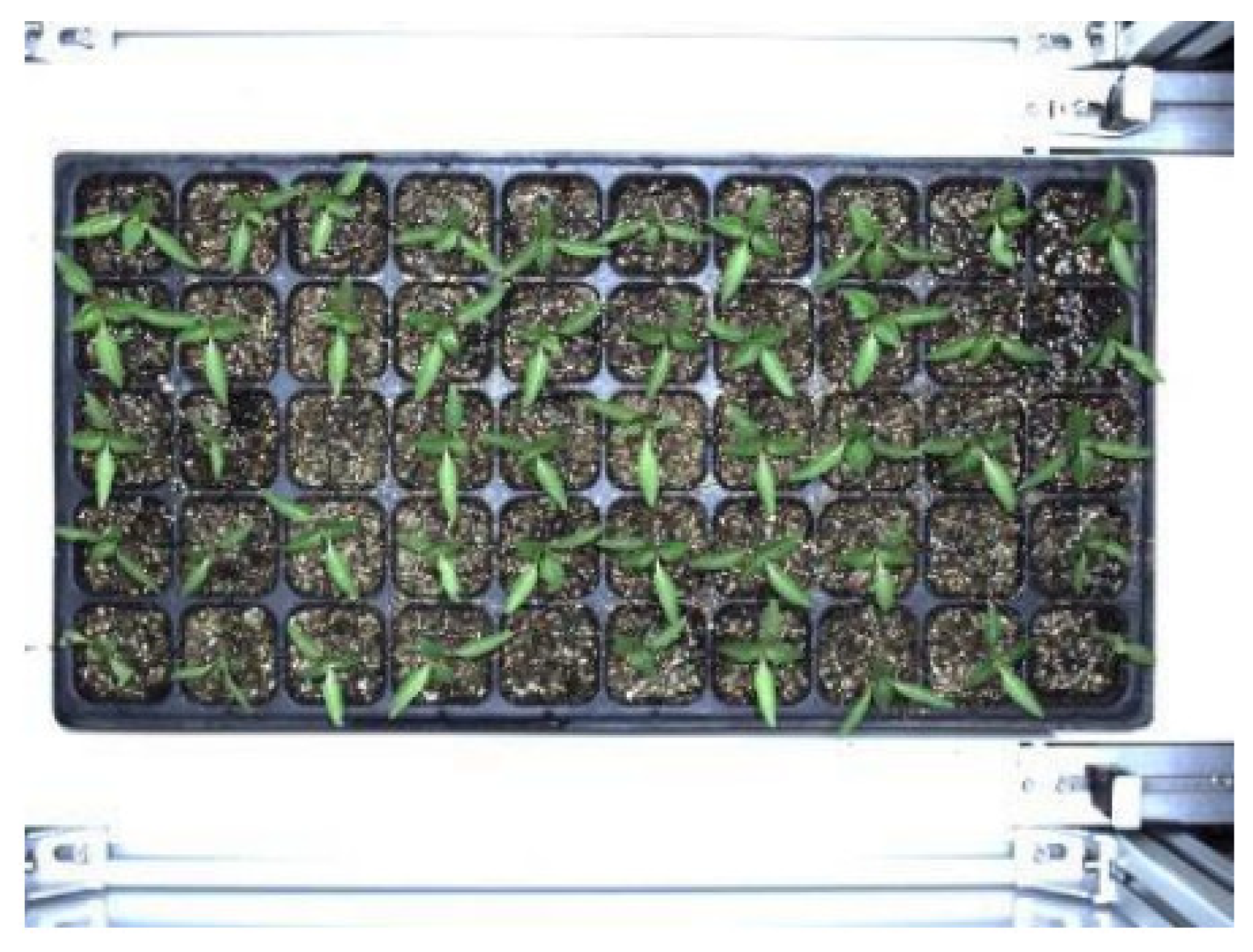 Agronomy 13 00853 g003 550