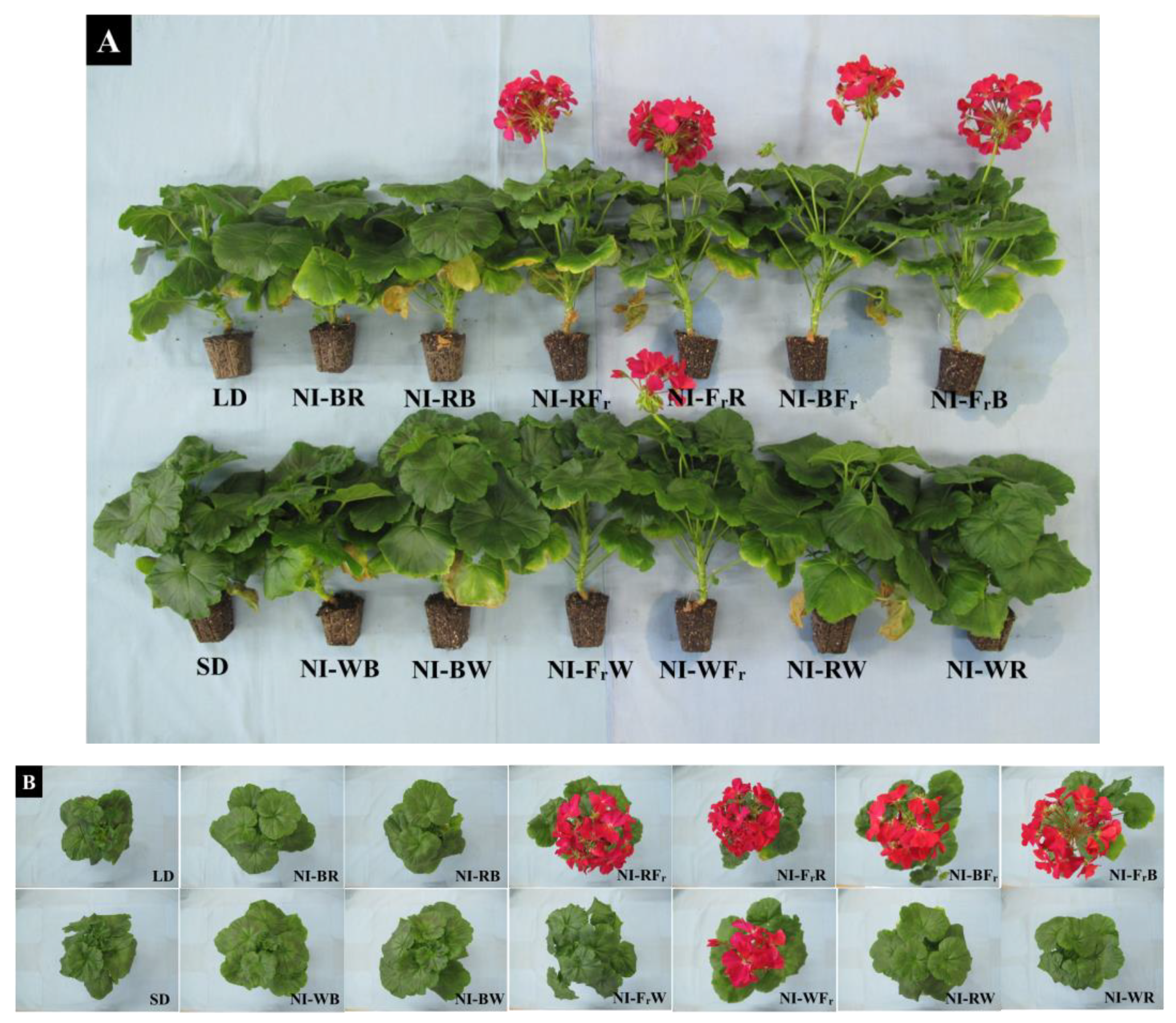 Agronomy 13 00857 g006 Agronomy 13 00857 g006