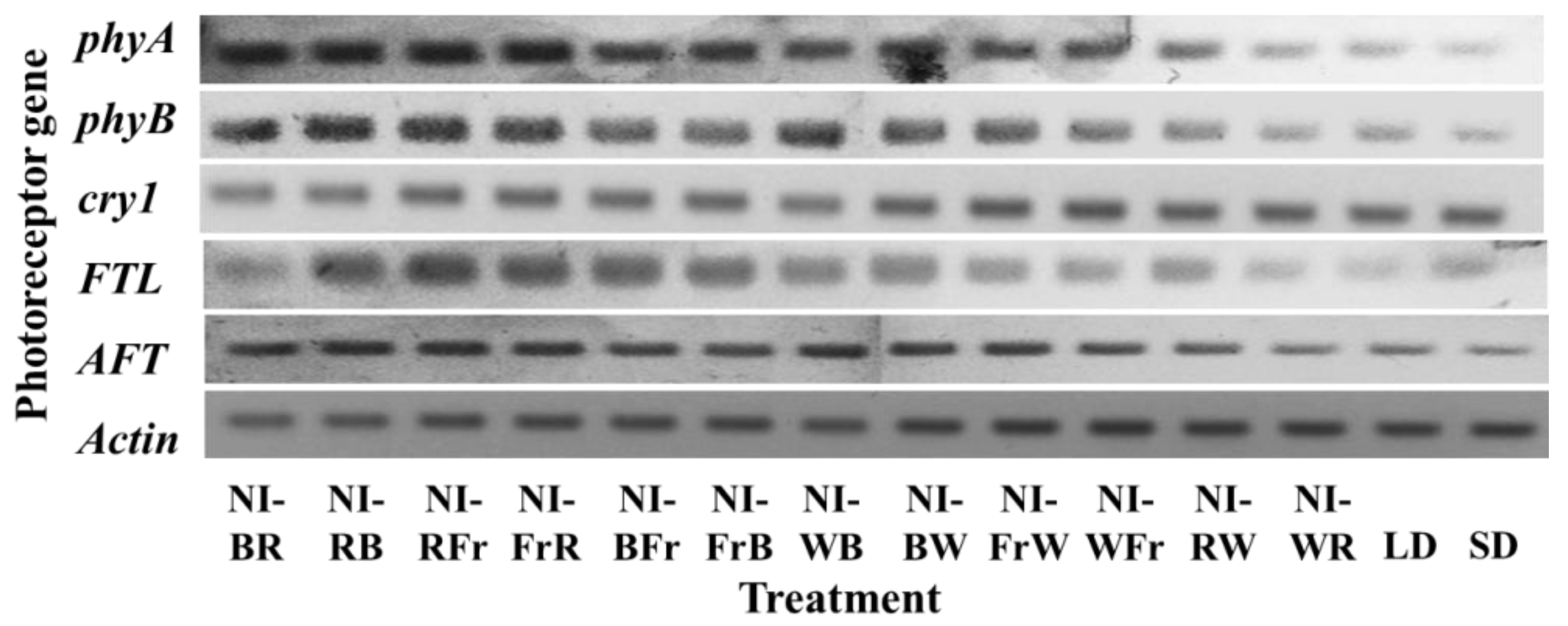 Agronomy 13 00857 g007 Agronomy 13 00857 g007