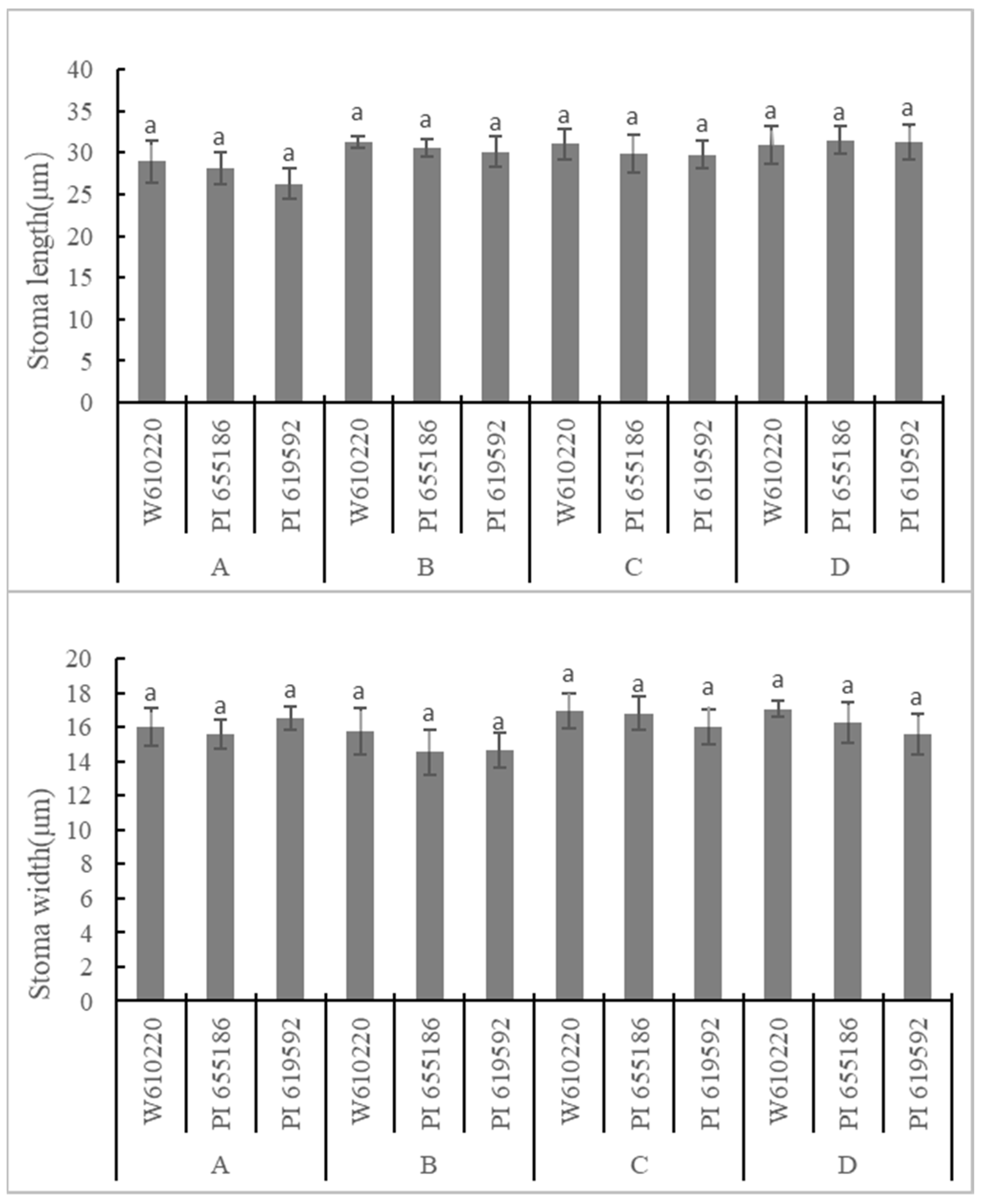 Agronomy 13 00862 g004 Agronomy 13 00862 g004