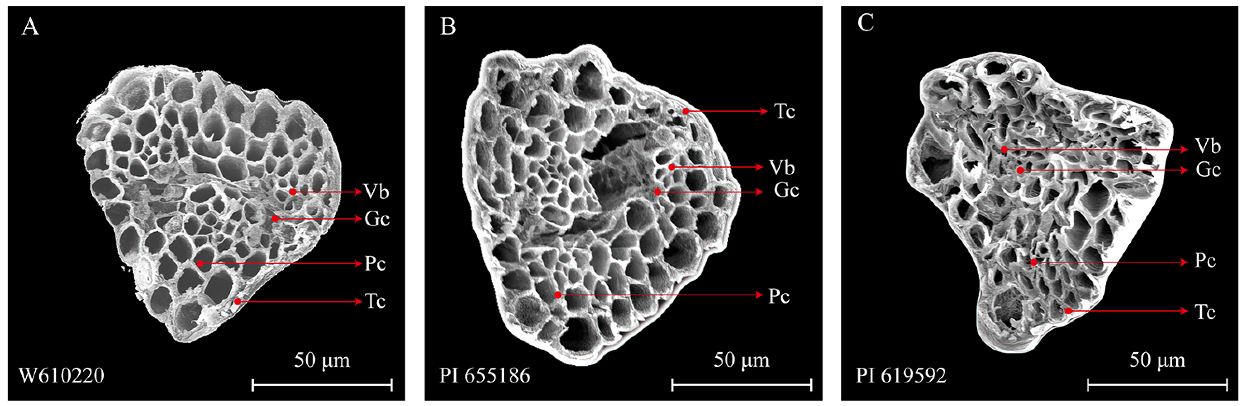 Agronomy 13 00862 g006 Agronomy 13 00862 g006