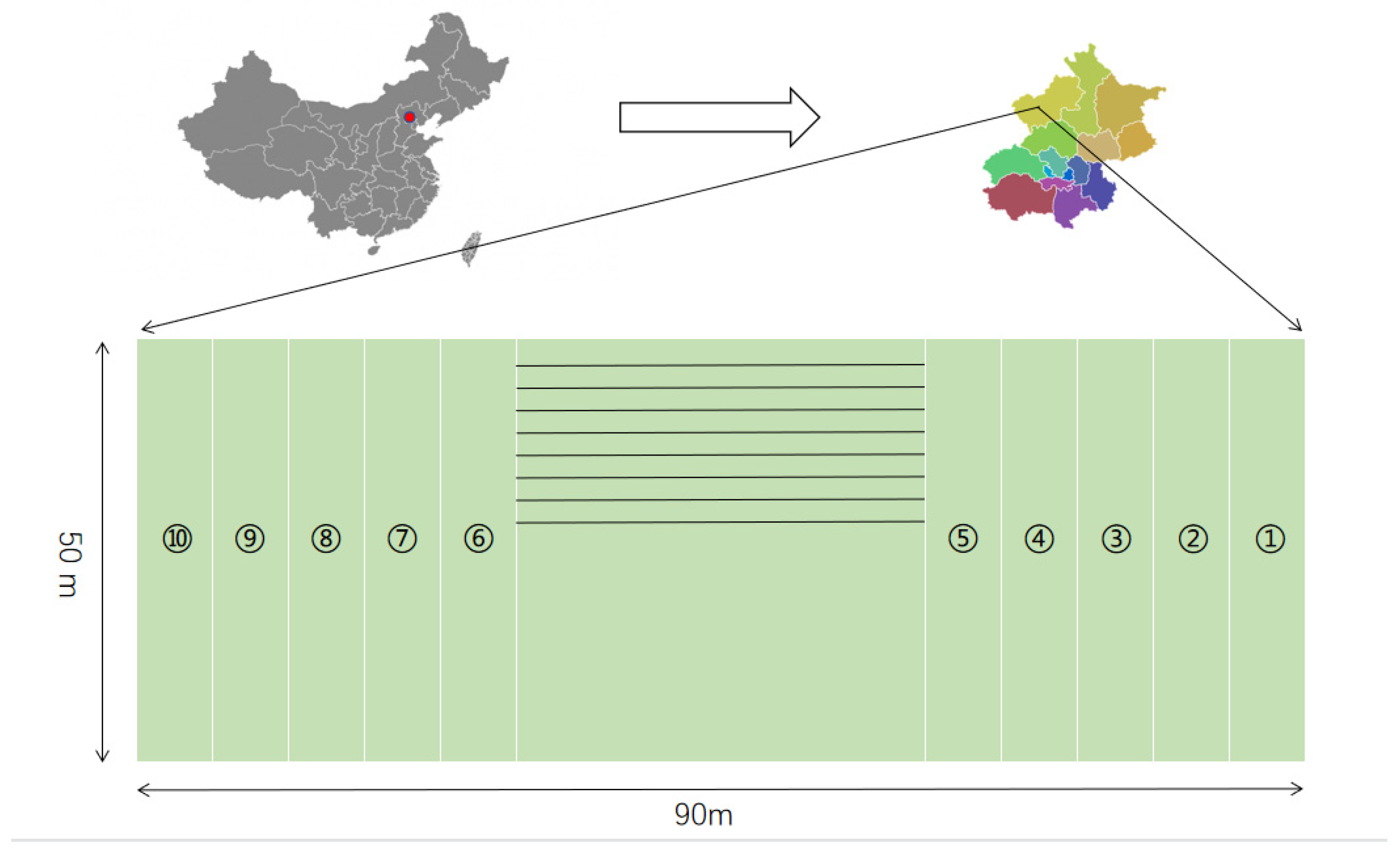 Agronomy 13 00865 g001