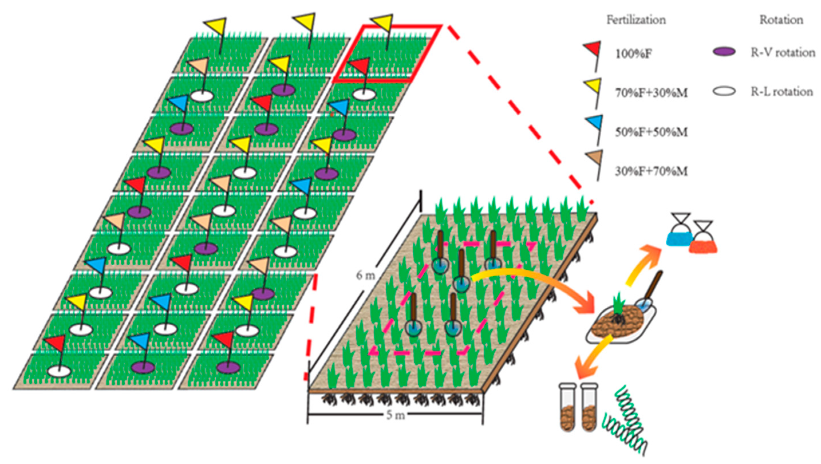 Agronomy 13 00866 g001 Agronomy 13 00866 g001