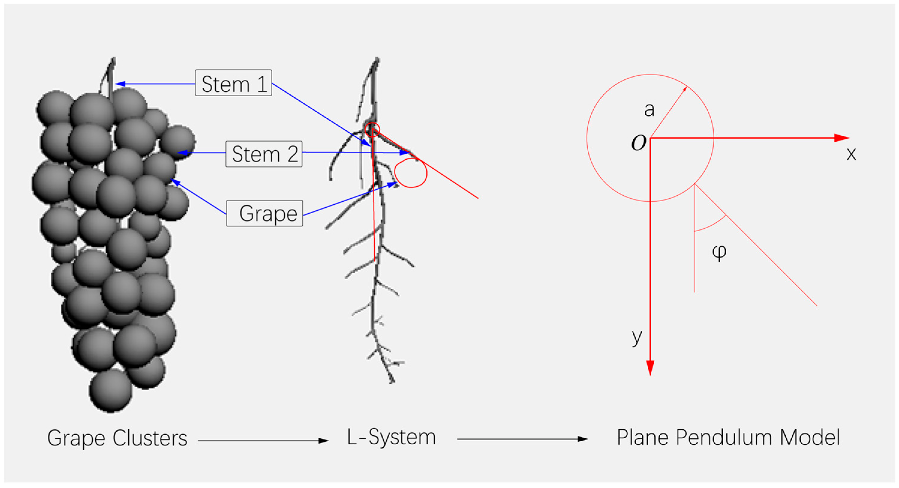 Agronomy 13 00869 g001