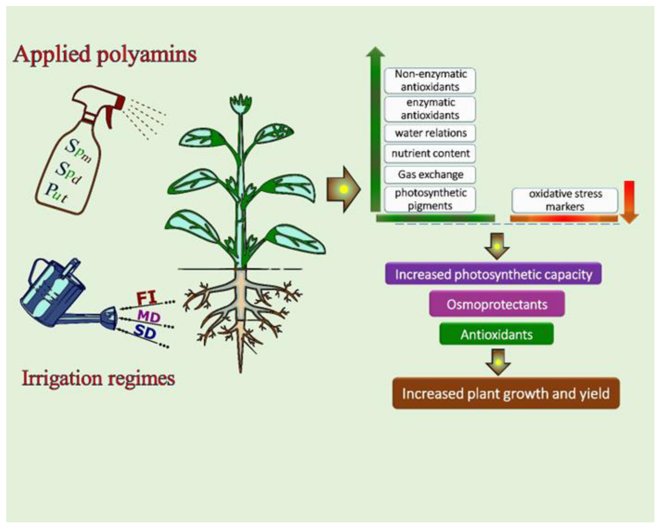 Agronomy 13 00875 g003 Agronomy 13 00875 g003