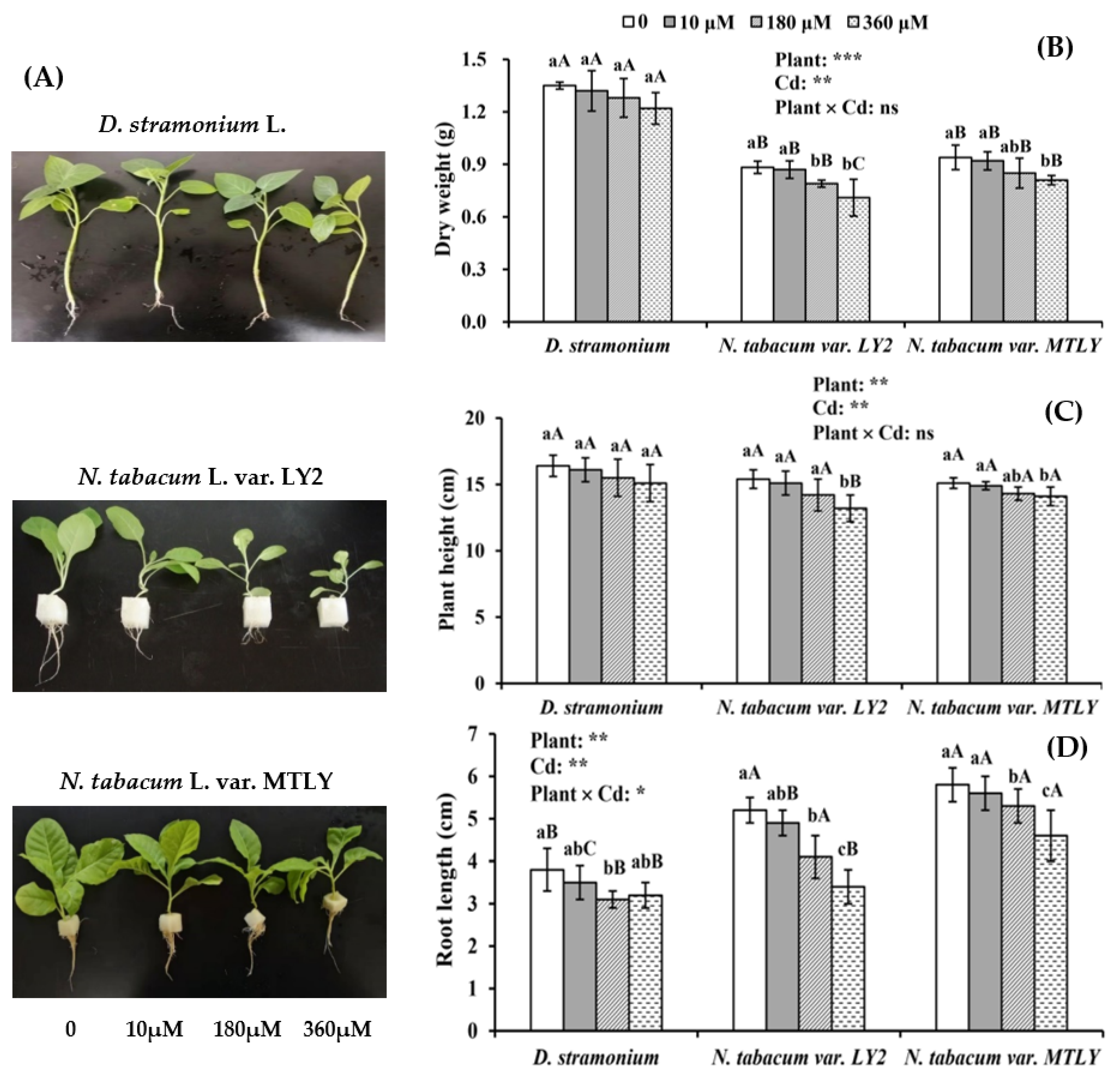Agronomy 13 00882 g002