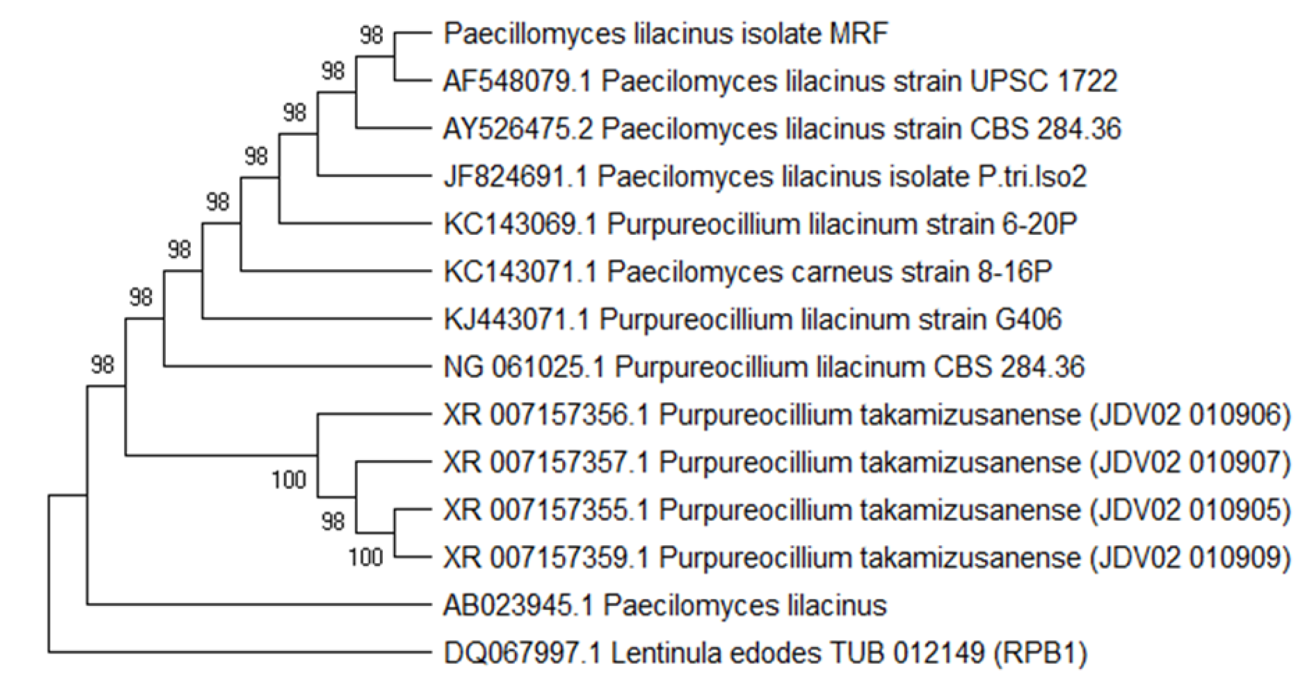 Agronomy 13 00883 g002