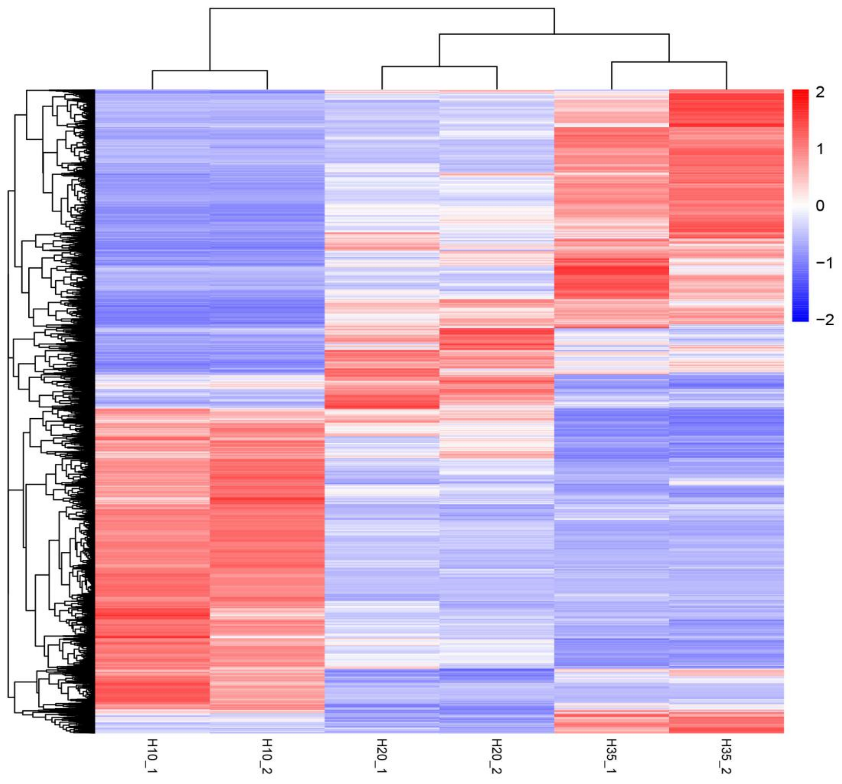 Agronomy 13 00885 g004