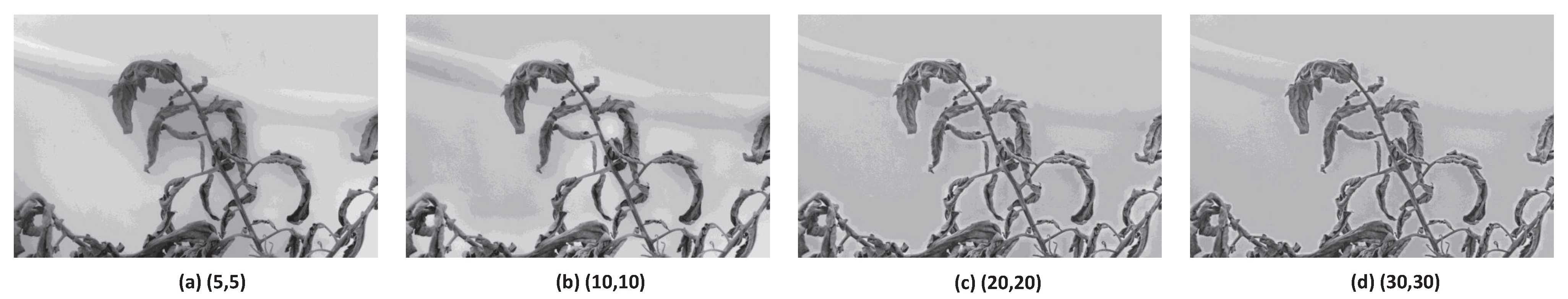 Agronomy 13 00887 g006 Agronomy 13 00887 g006