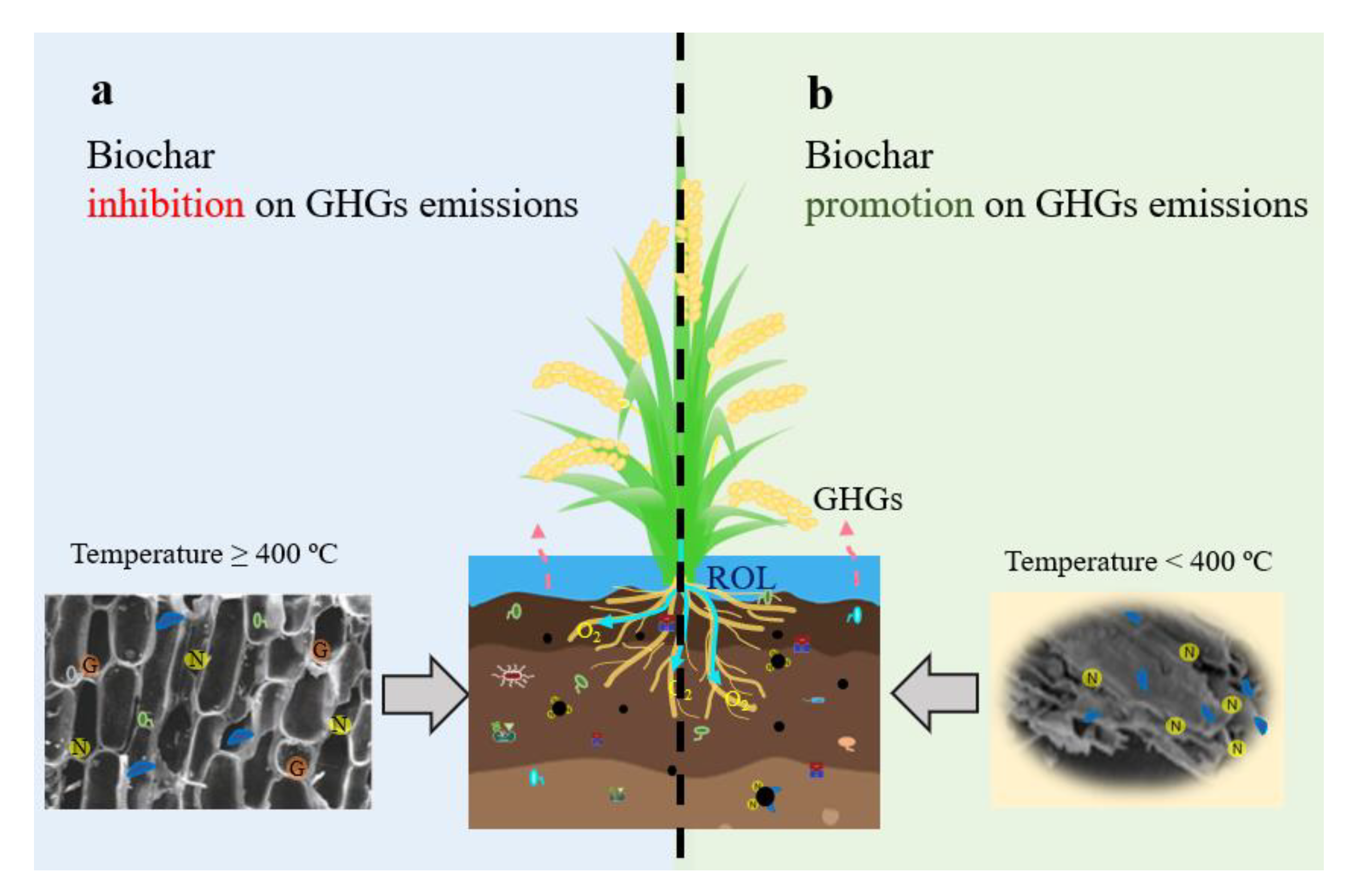 A Critical Review of Biochar Application for the Remediation