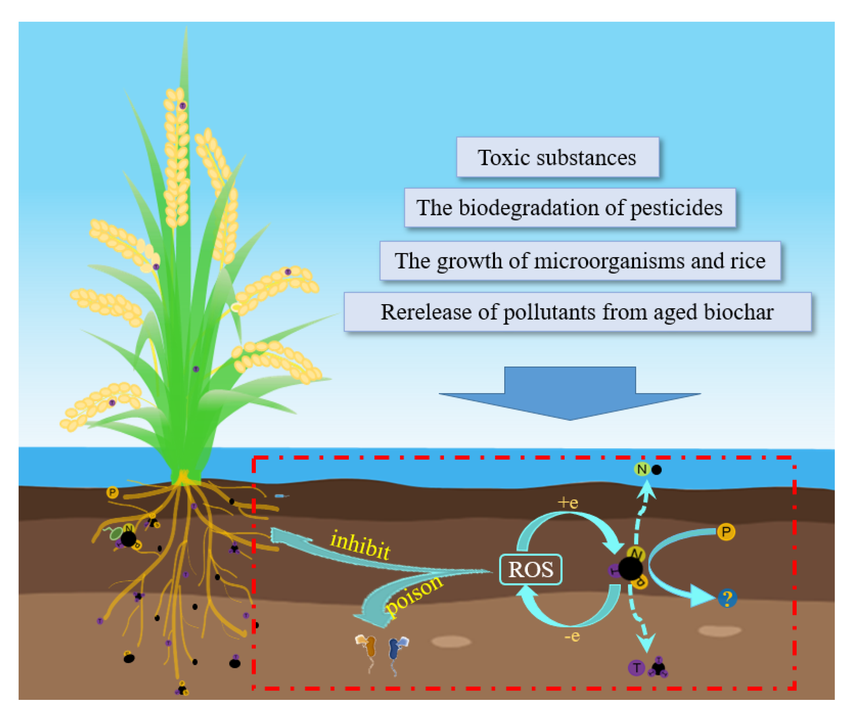 Agronomy 13 00893 g003