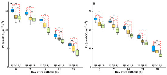 NM 専用 Recent Advances in Sources of Bio‐Inspiration and Materials