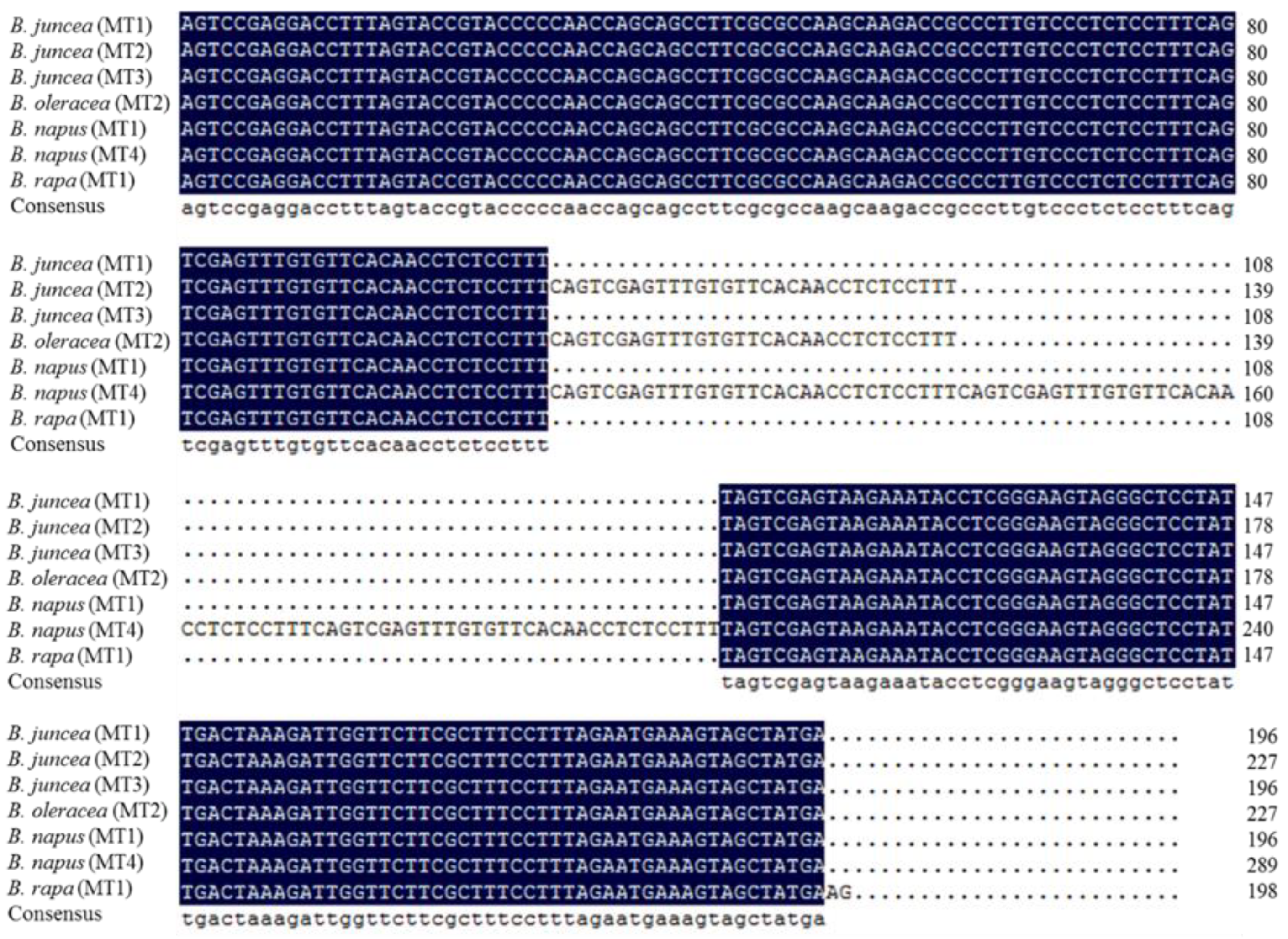 Agronomy 13 00919 g006 Agronomy 13 00919 g006