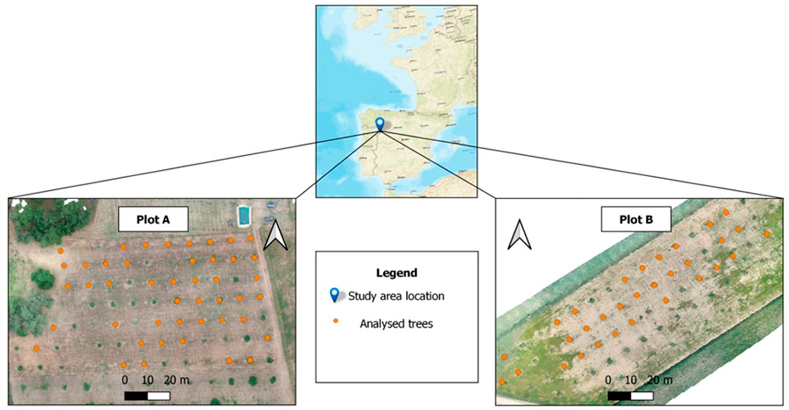 Agronomy 13 00923 g001 Agronomy 13 00923 g001