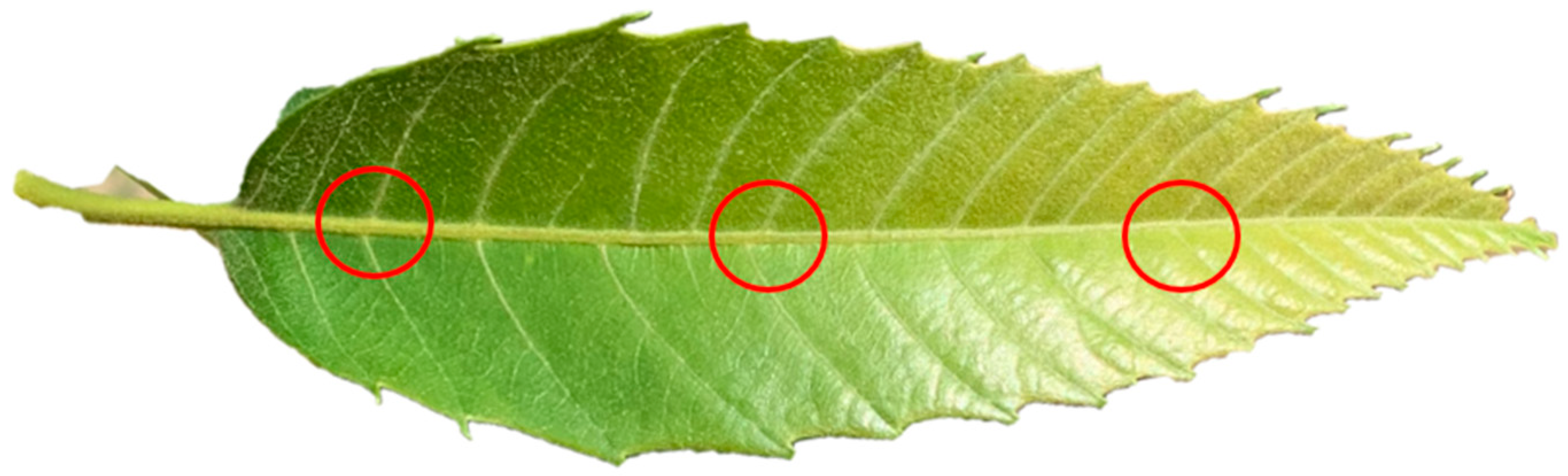 Agronomy 13 00923 g003 Agronomy 13 00923 g003