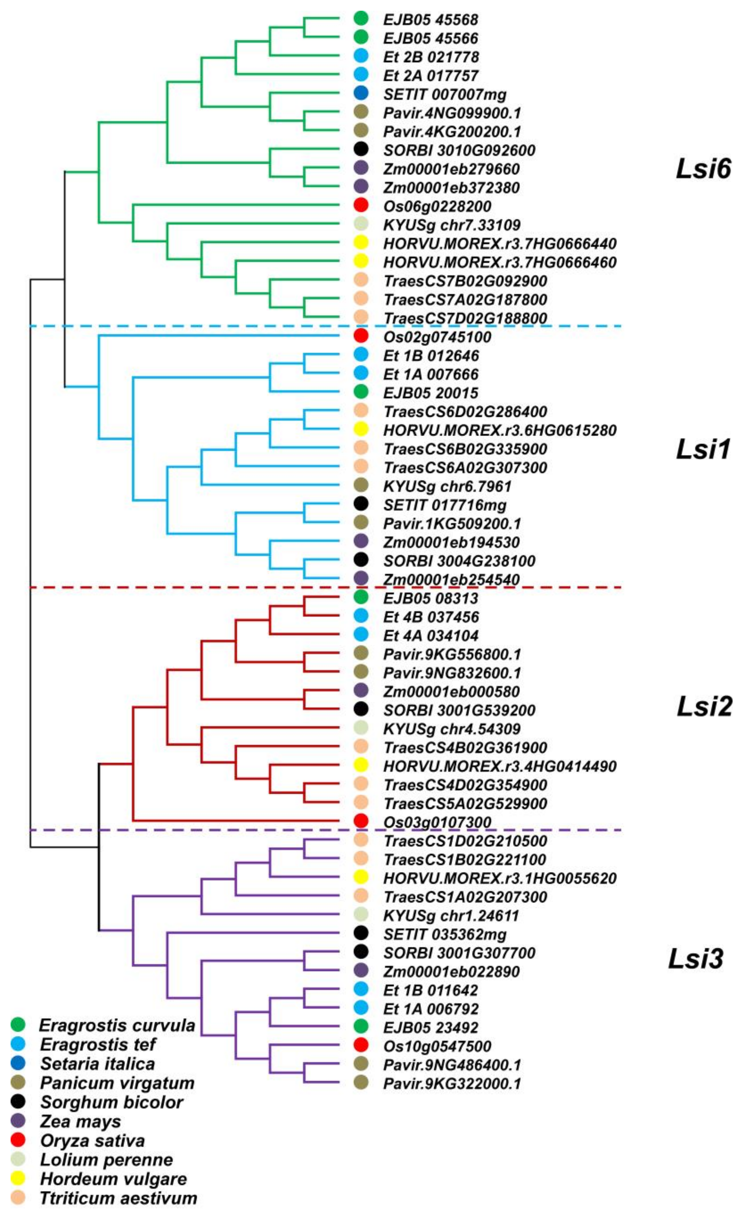 Agronomy 13 00924 g003