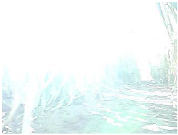 Agronomy 13 00925 i009