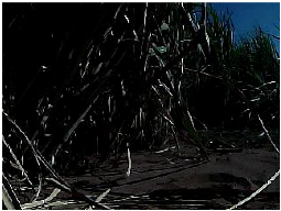 Agronomy 13 00925 i010