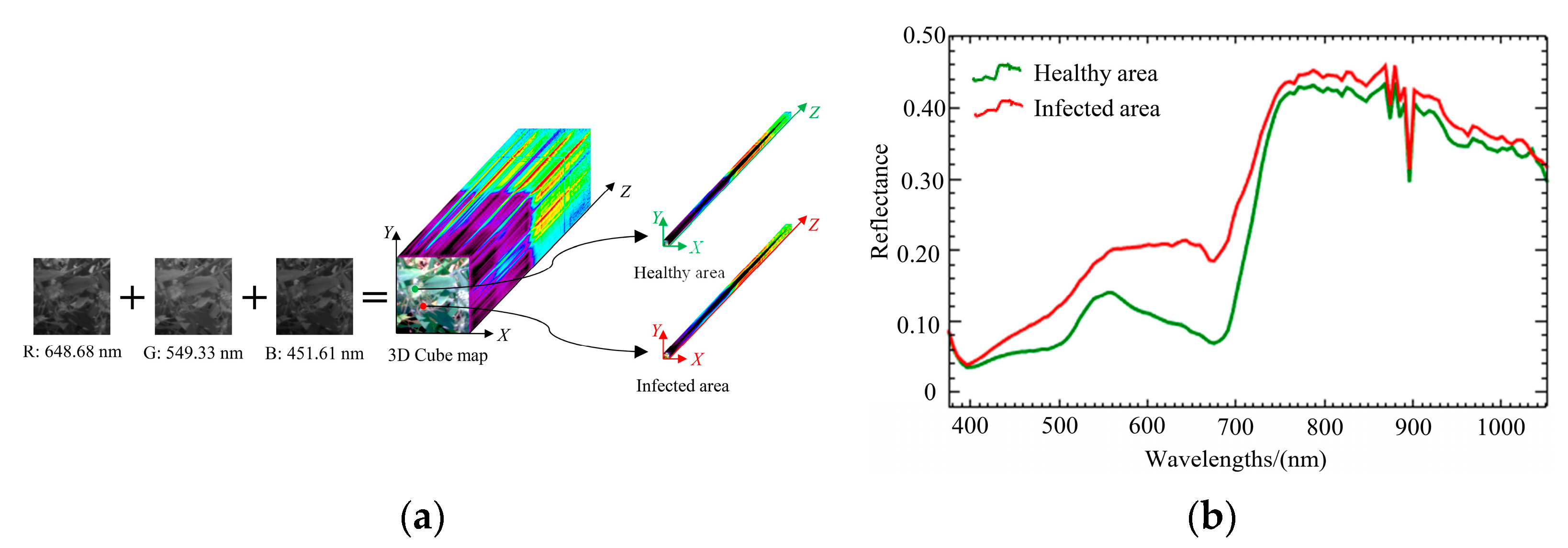 Agronomy 13 00933 g003 Agronomy 13 00933 g003