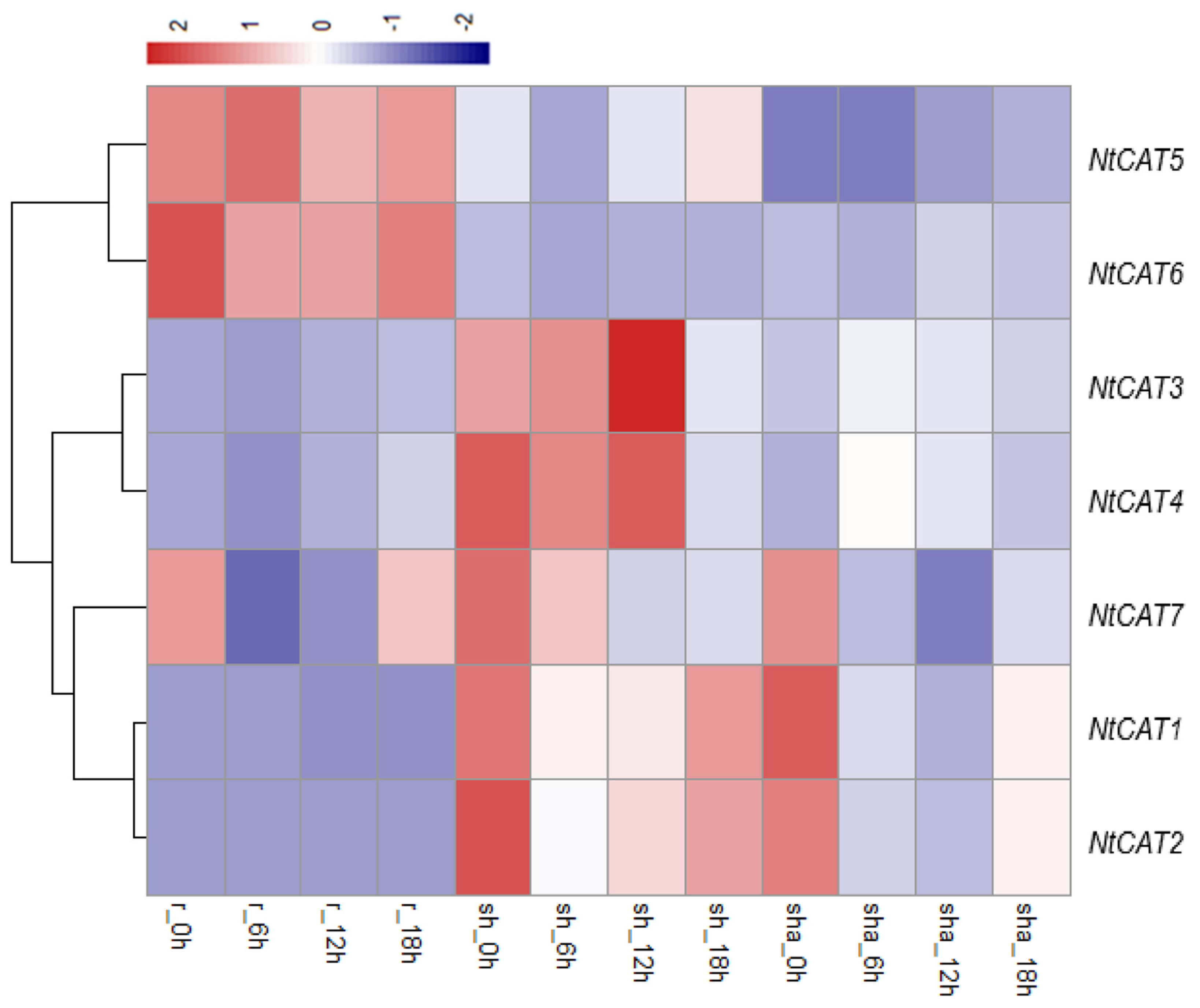 Agronomy 13 00936 g003