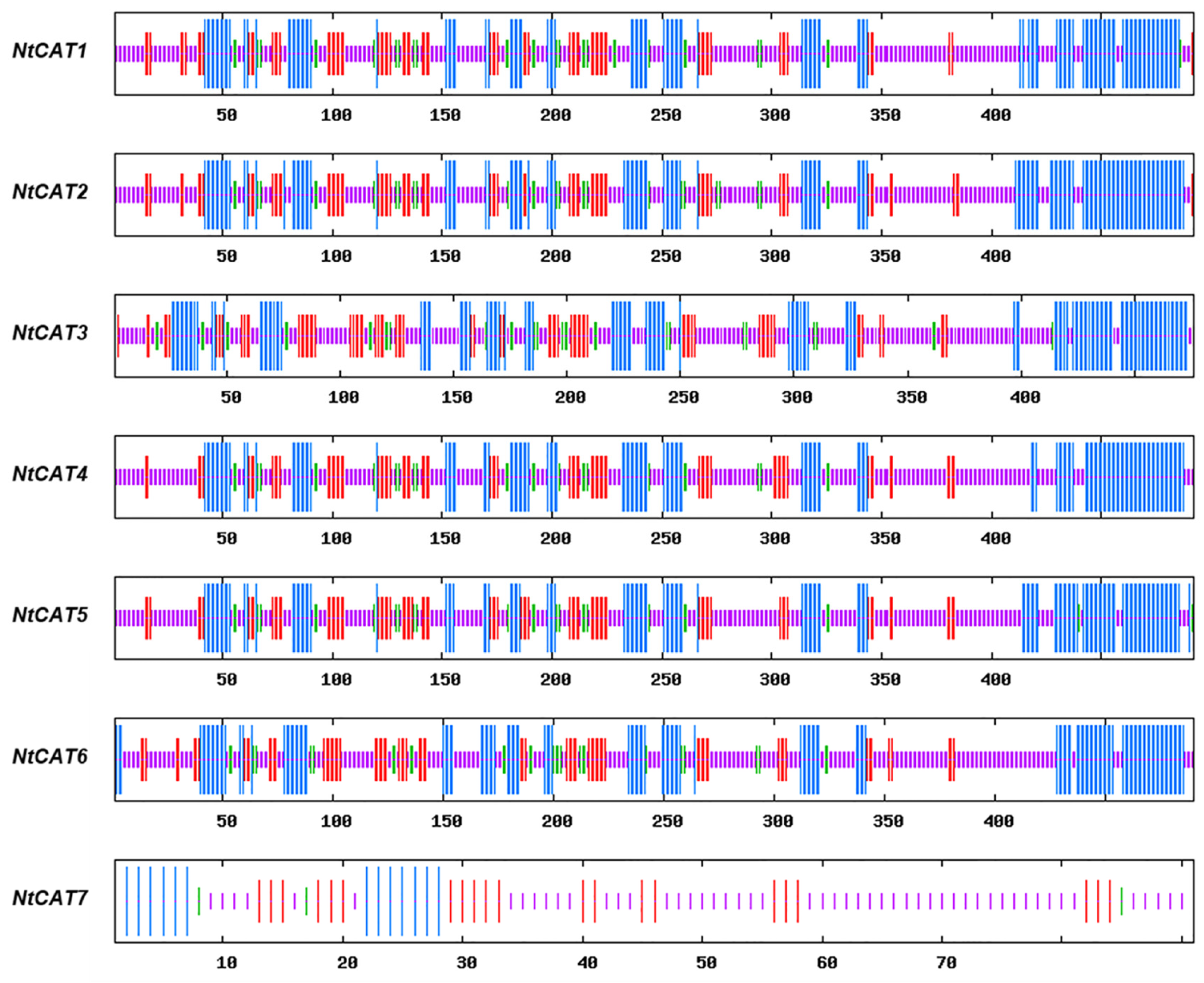 Agronomy 13 00936 g006