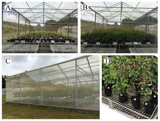 Planta Greenhouse Review: Unbiased and In-Depth Analysis