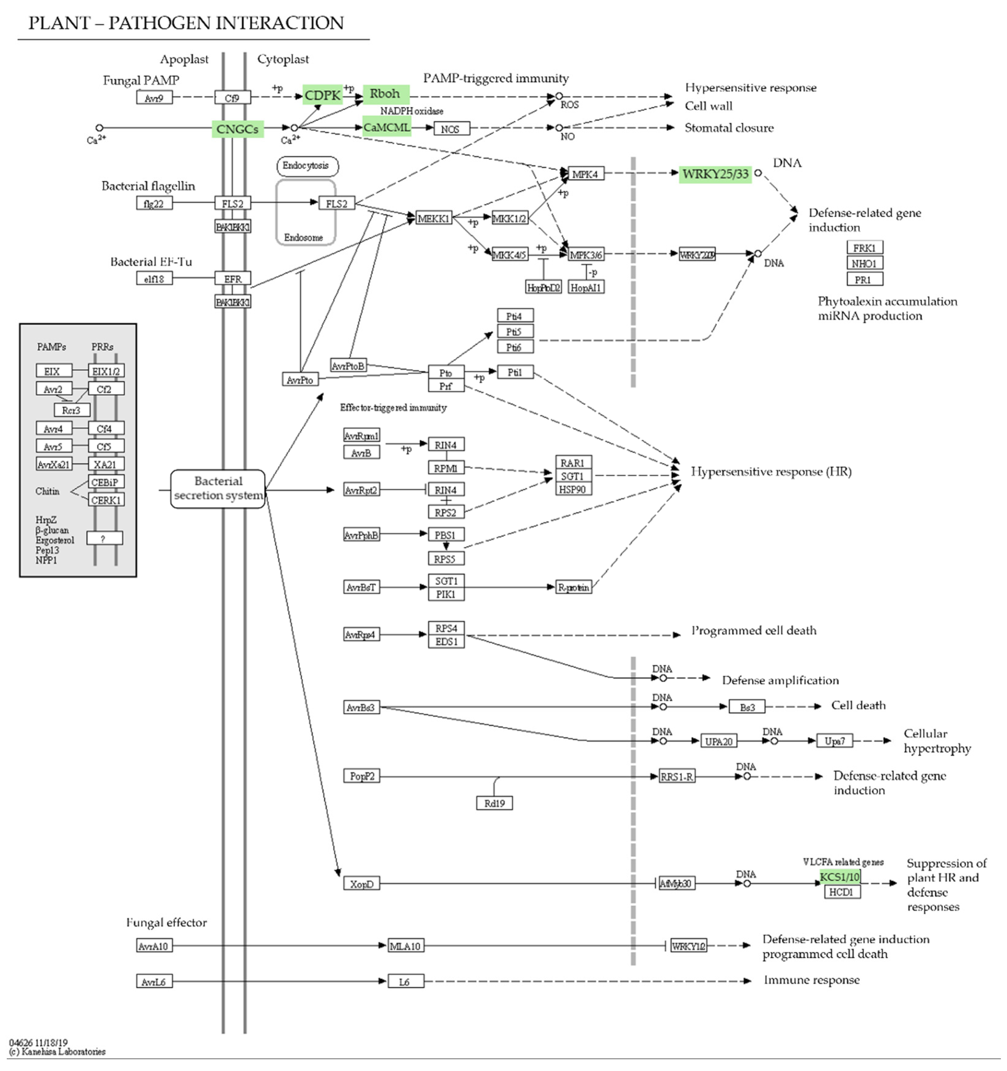 Agronomy 13 00945 g003 Agronomy 13 00945 g003