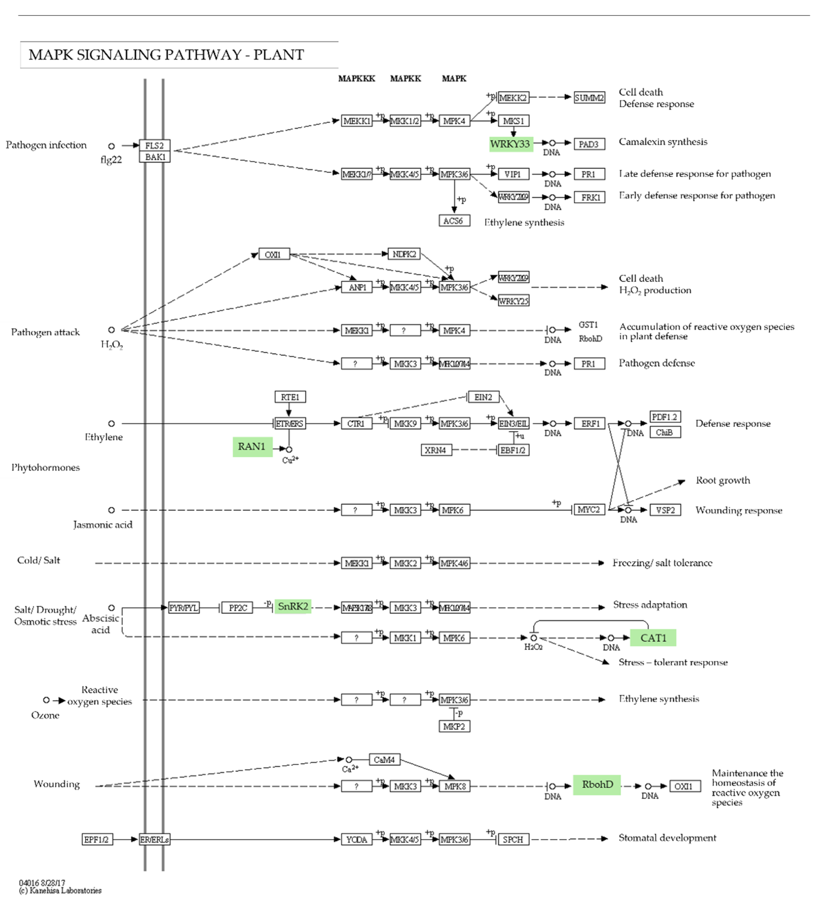 Agronomy 13 00945 g005 Agronomy 13 00945 g005