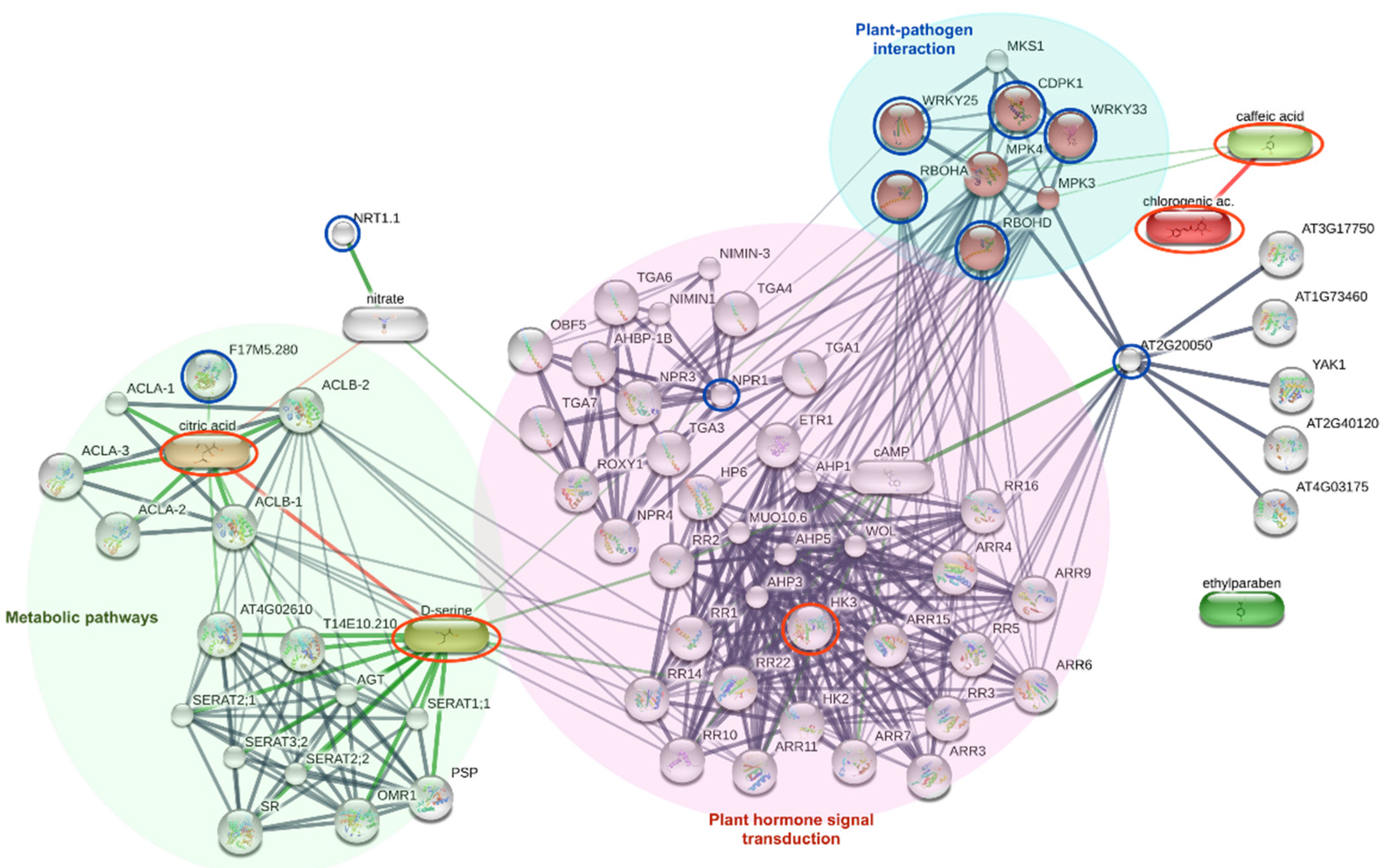 Agronomy 13 00945 g010 Agronomy 13 00945 g010