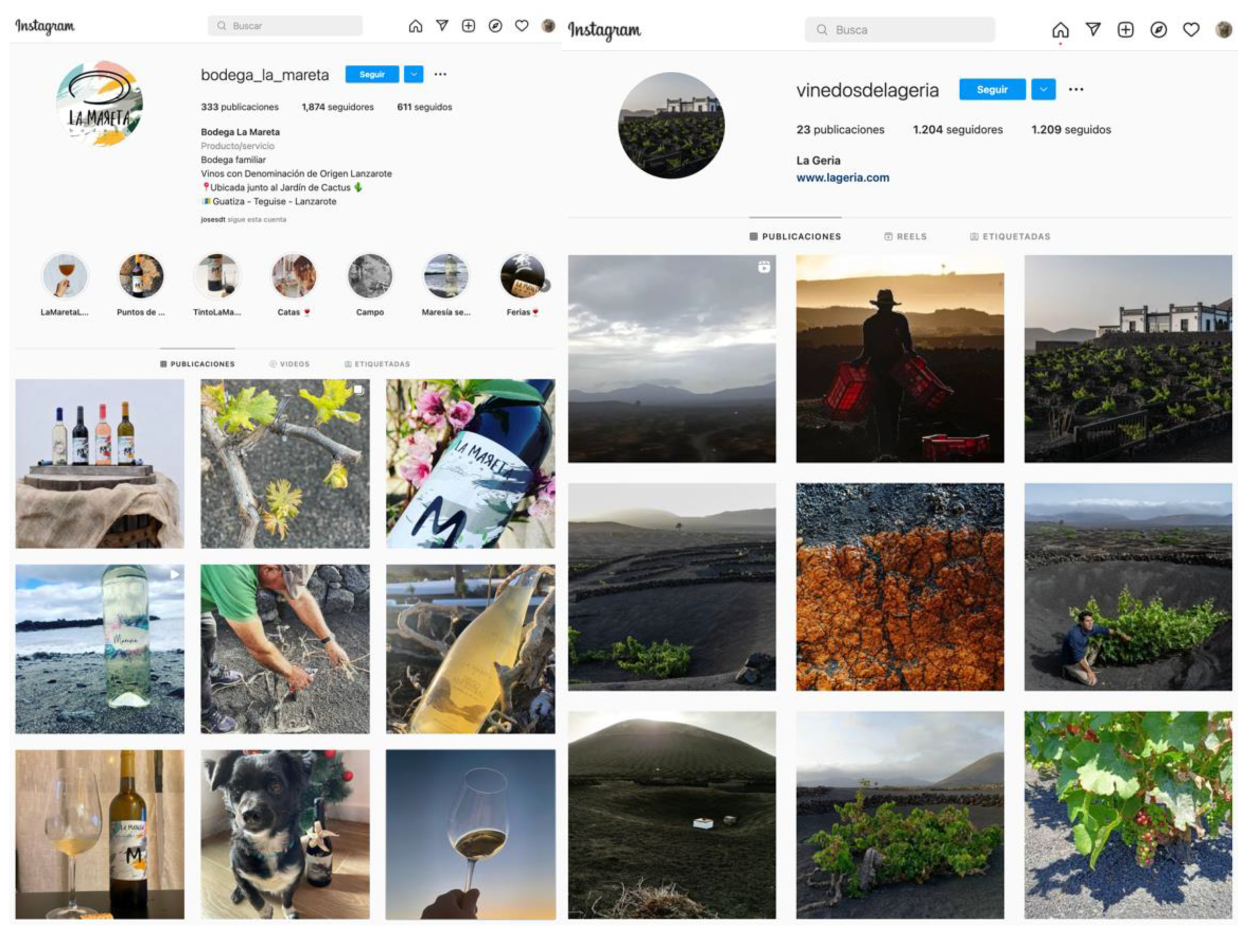 Agronomy 13 00946 g011