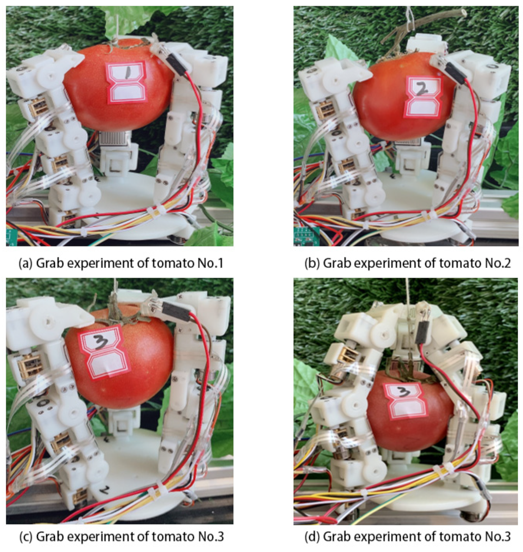 Agronomy 13 00947 g024 Agronomy 13 00947 g024