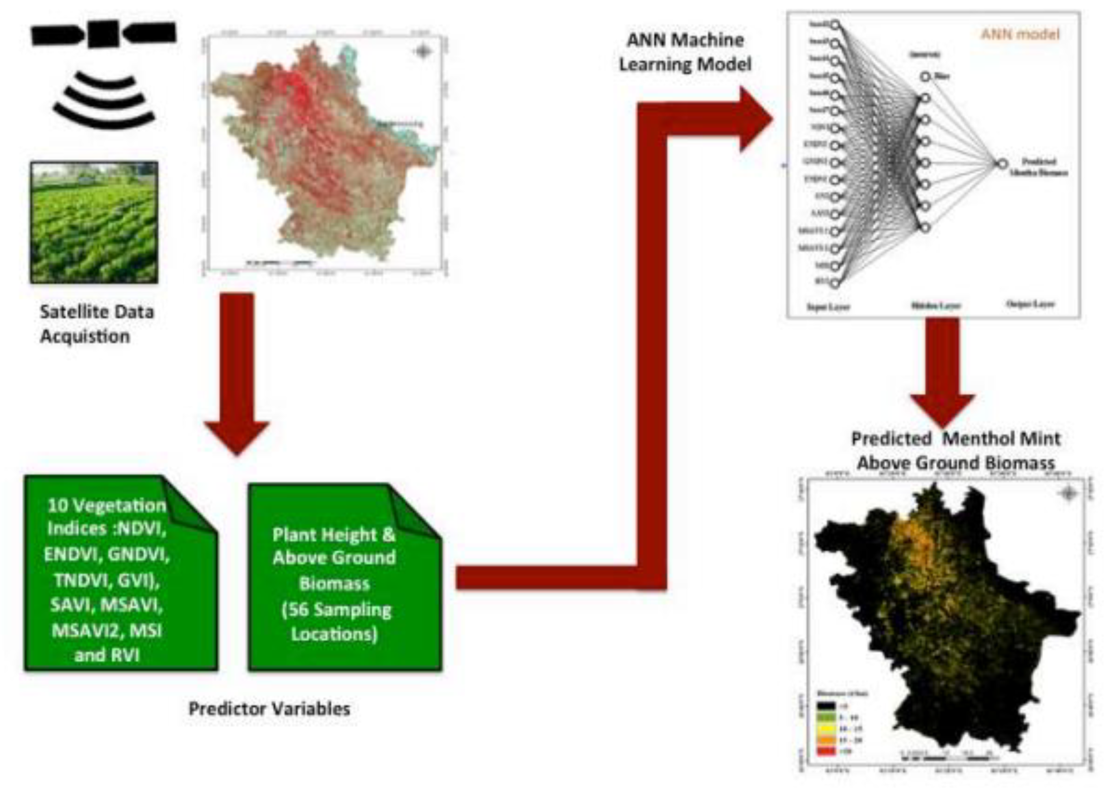 Agronomy 13 00951 g004 Agronomy 13 00951 g004