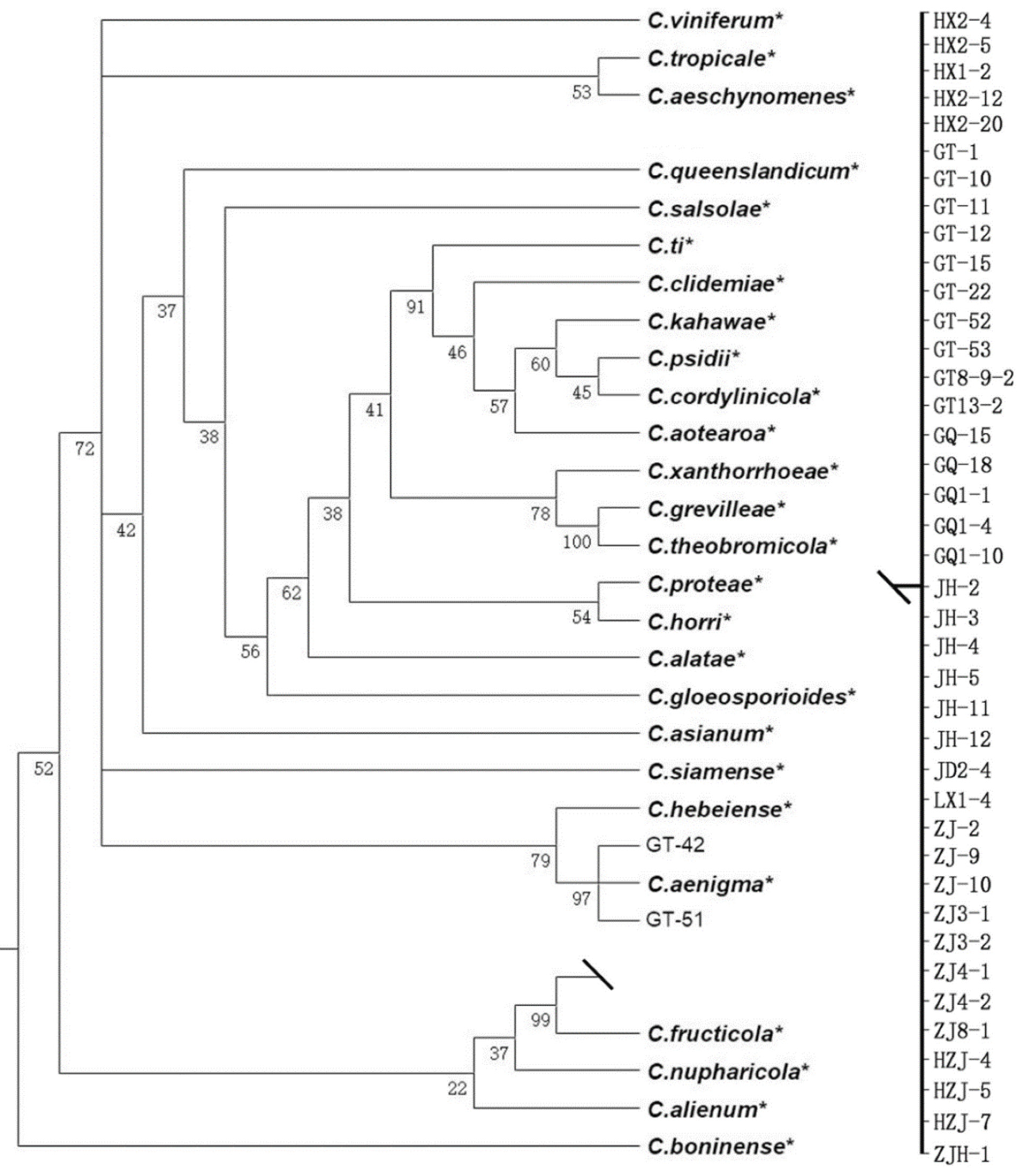 Agronomy 13 00952 g001 Agronomy 13 00952 g001