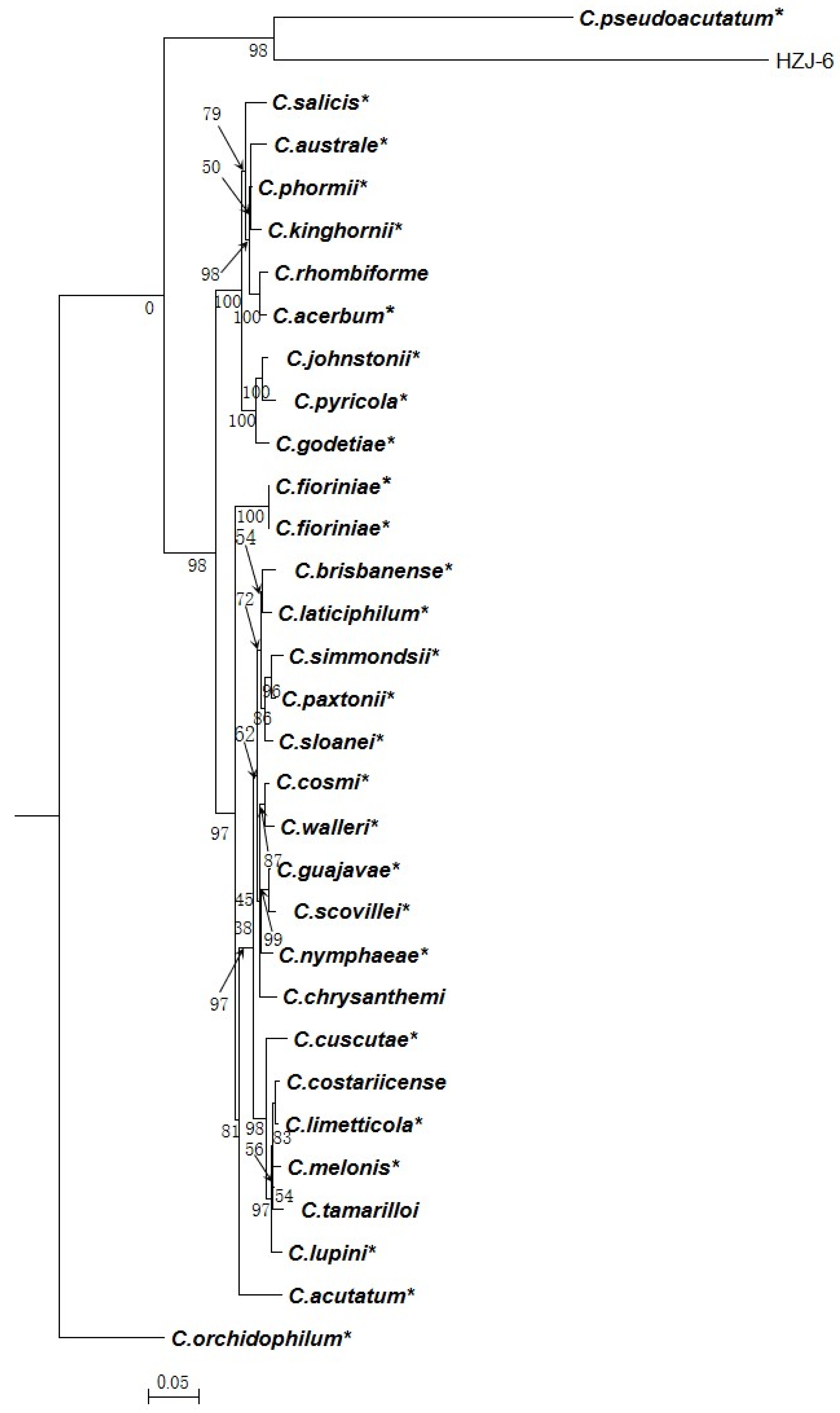 Agronomy 13 00952 g002 Agronomy 13 00952 g002