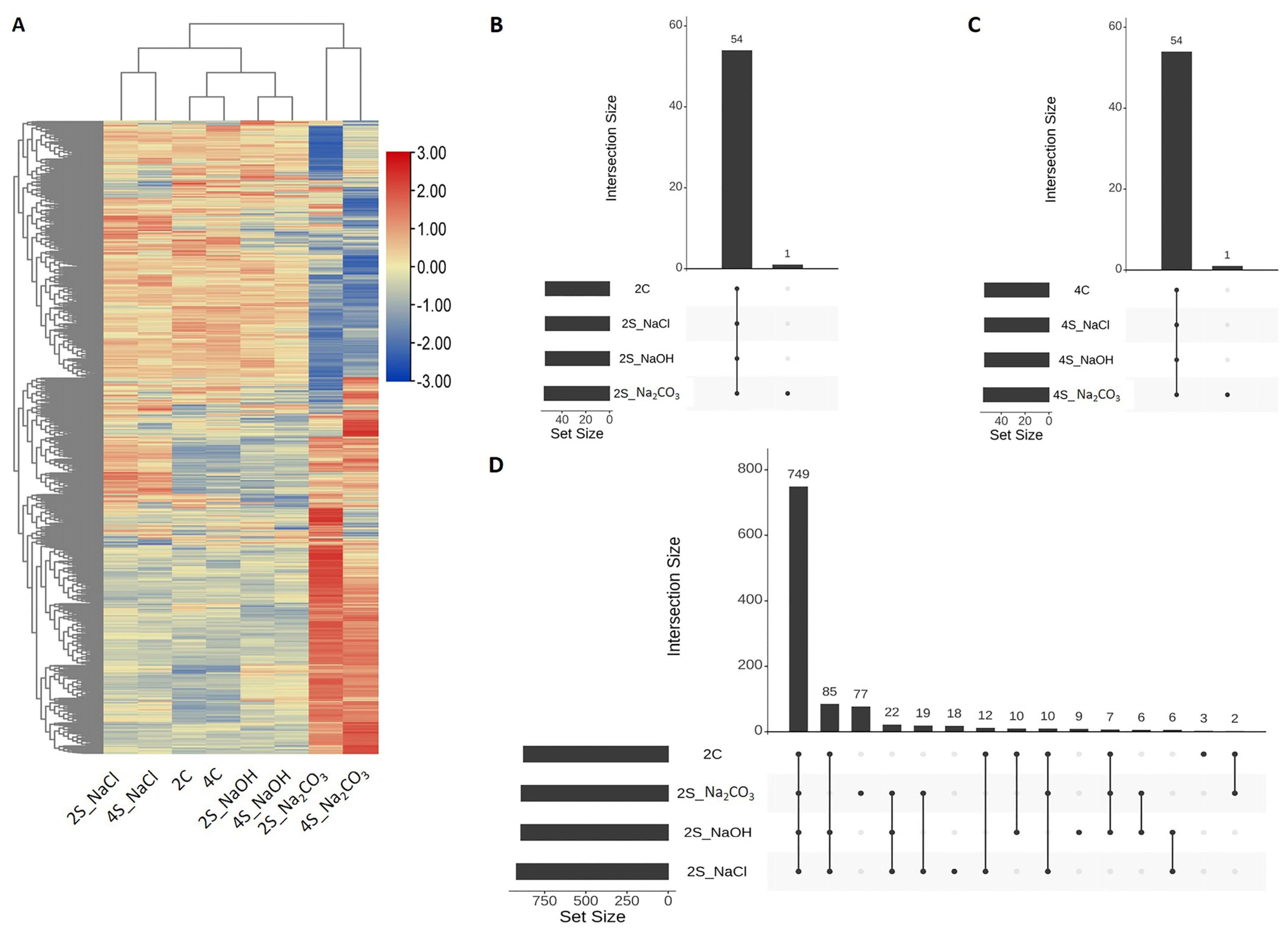 Agronomy 13 00959 g001a Agronomy 13 00959 g001a