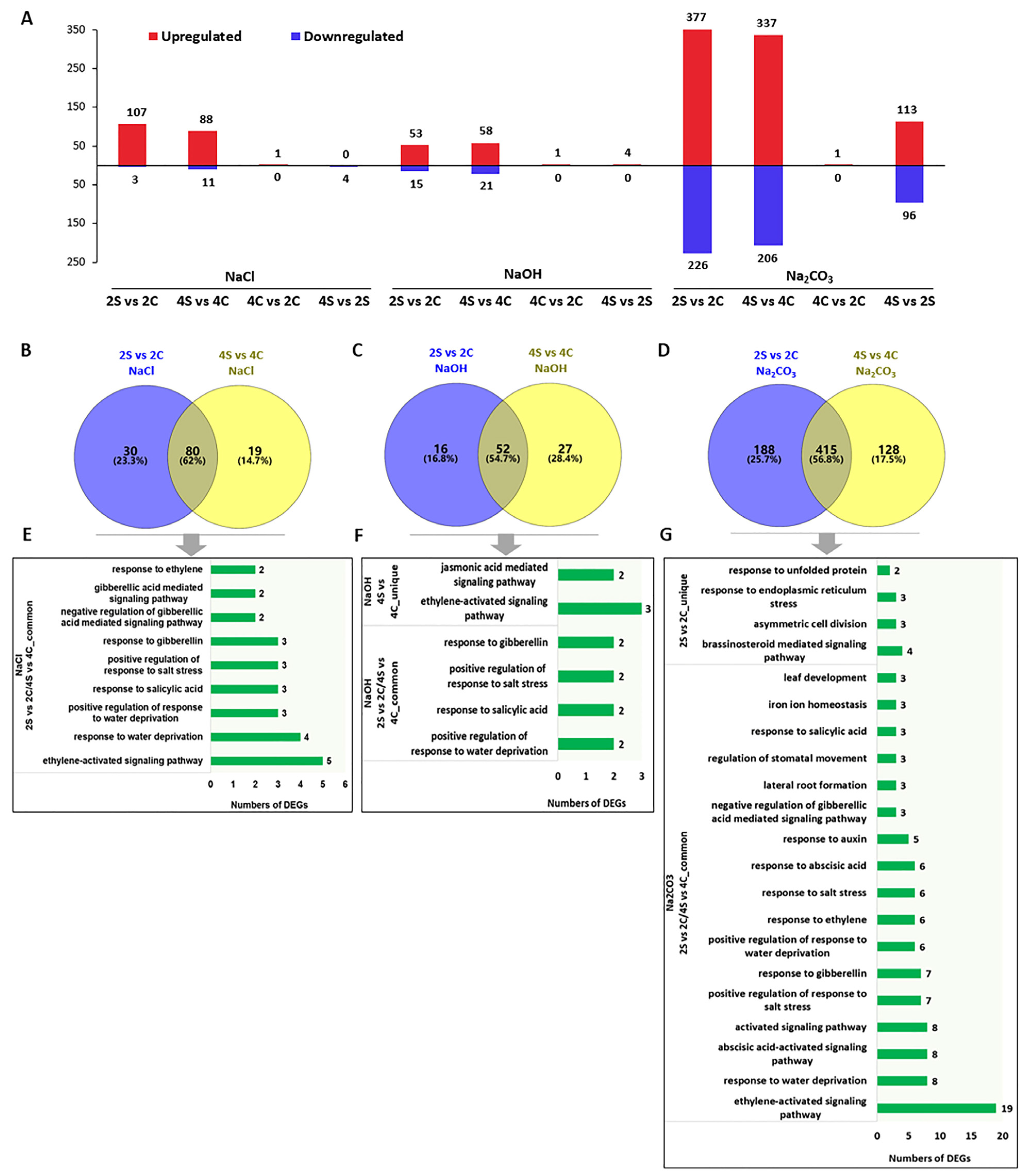 Agronomy 13 00959 g002 Agronomy 13 00959 g002