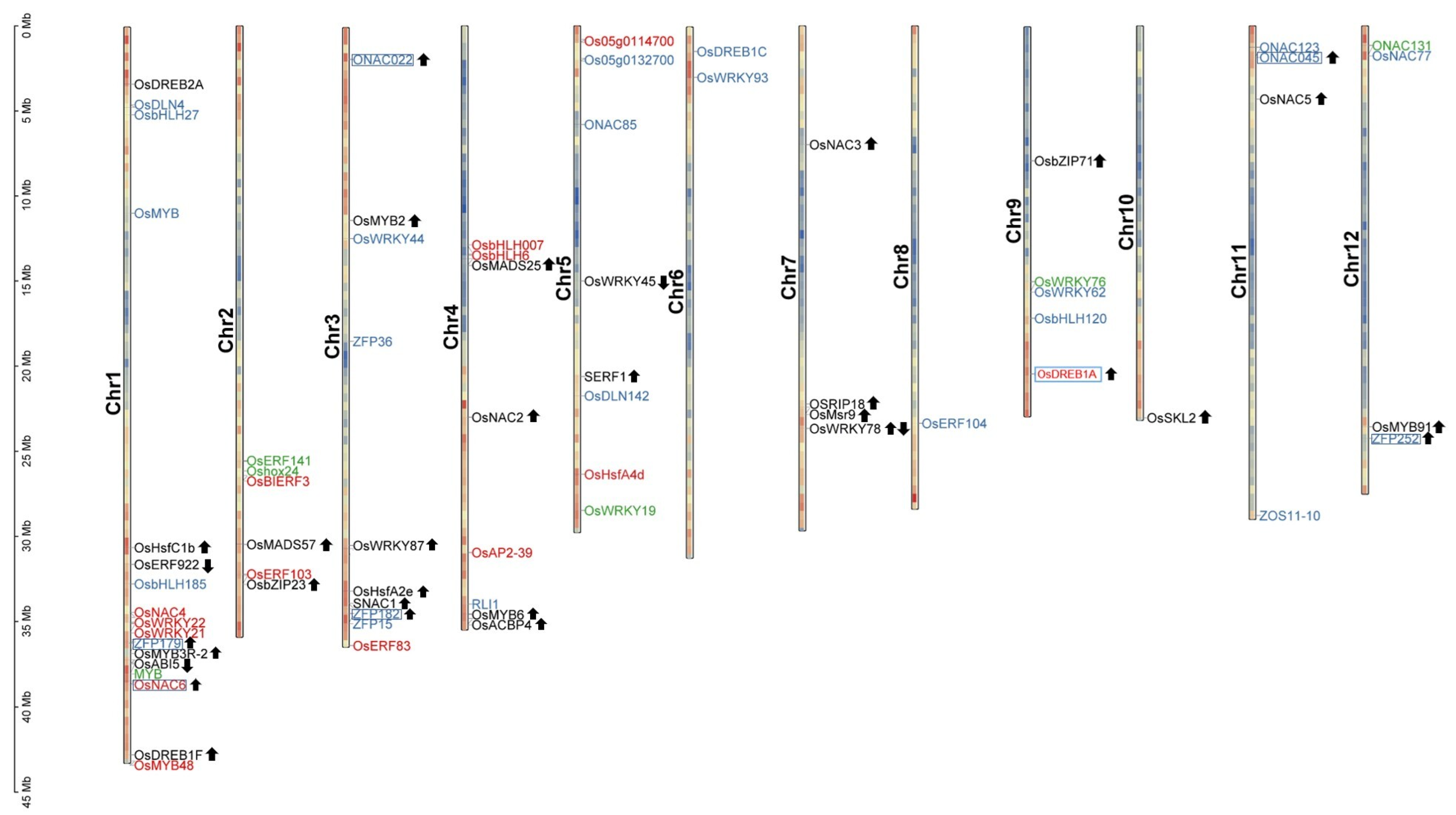 Agronomy 13 00959 g005 Agronomy 13 00959 g005