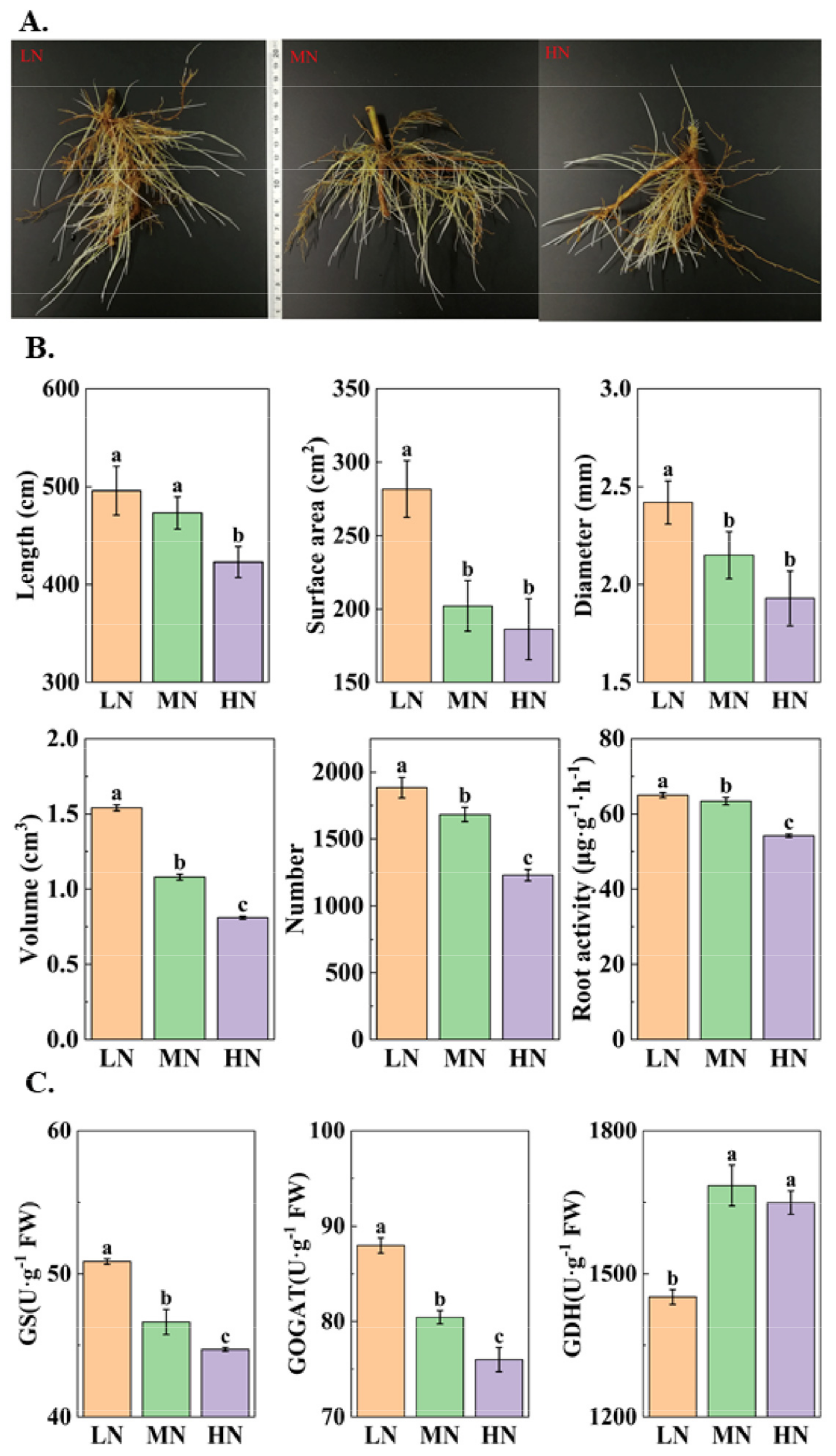 Agronomy 13 00968 g001 Agronomy 13 00968 g001